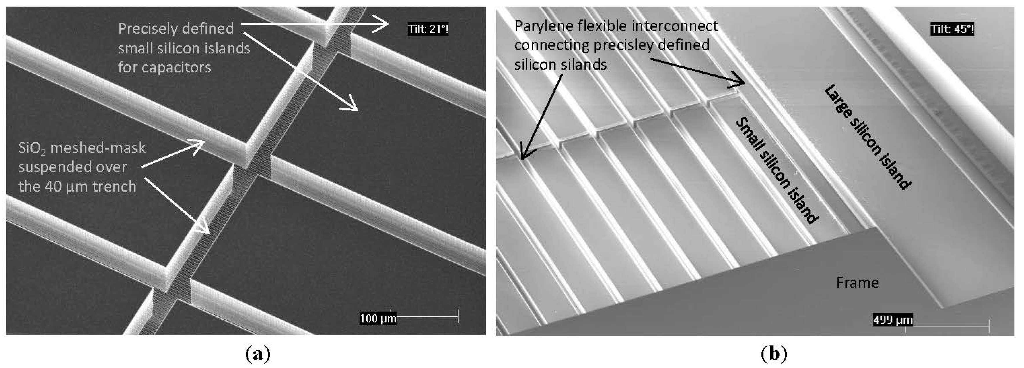 Proceedings 02 00941 g002