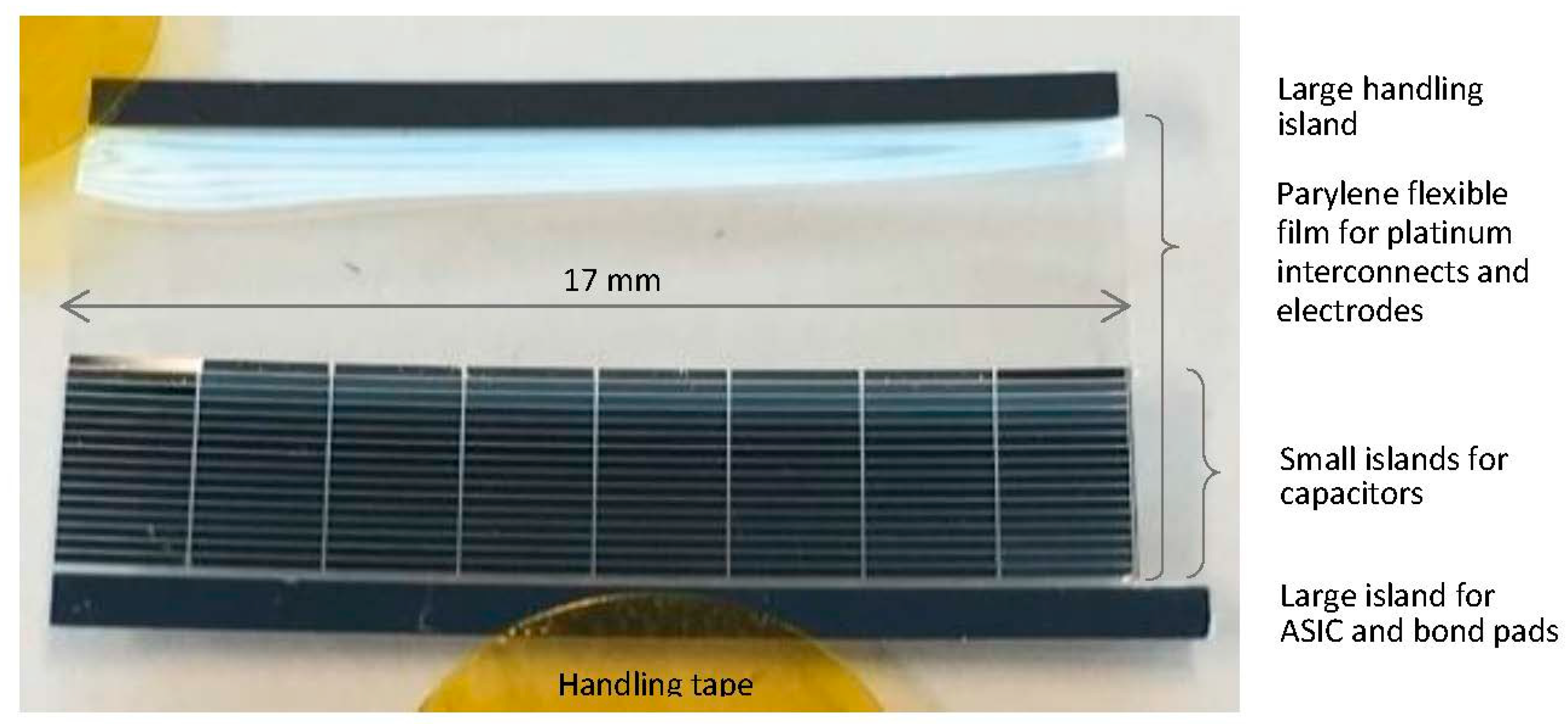 Proceedings 02 00941 g003