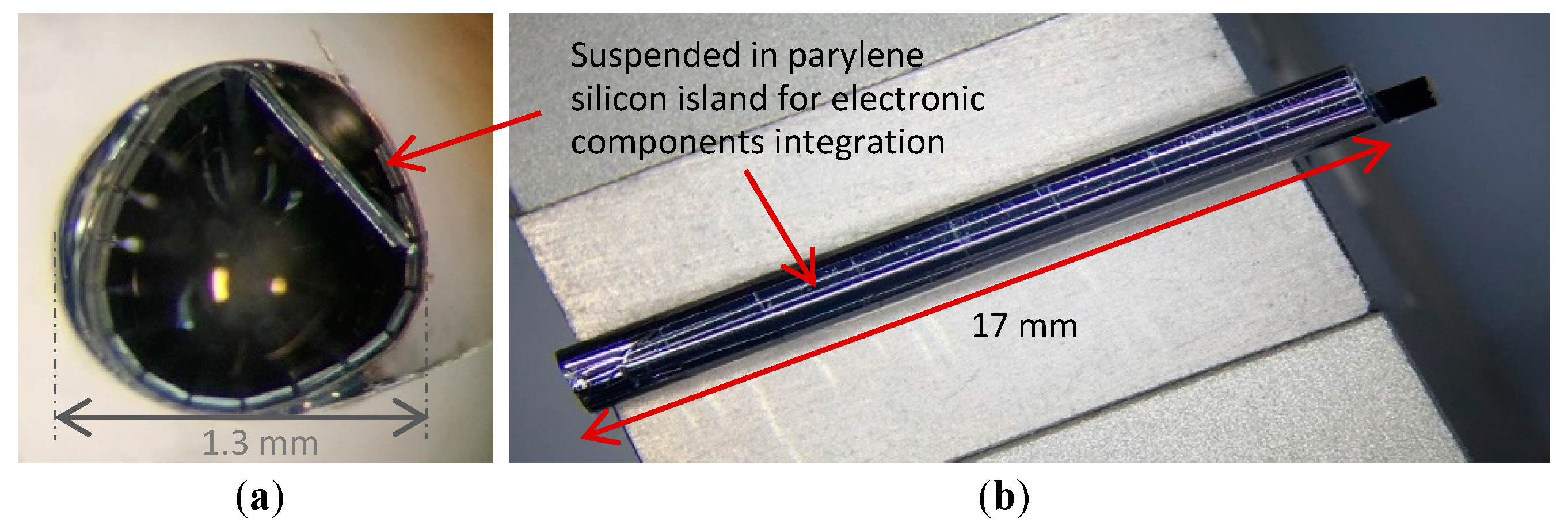 Proceedings 02 00941 g004