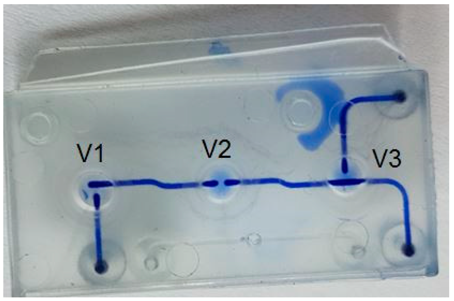 Proceedings 02 00943 g003
