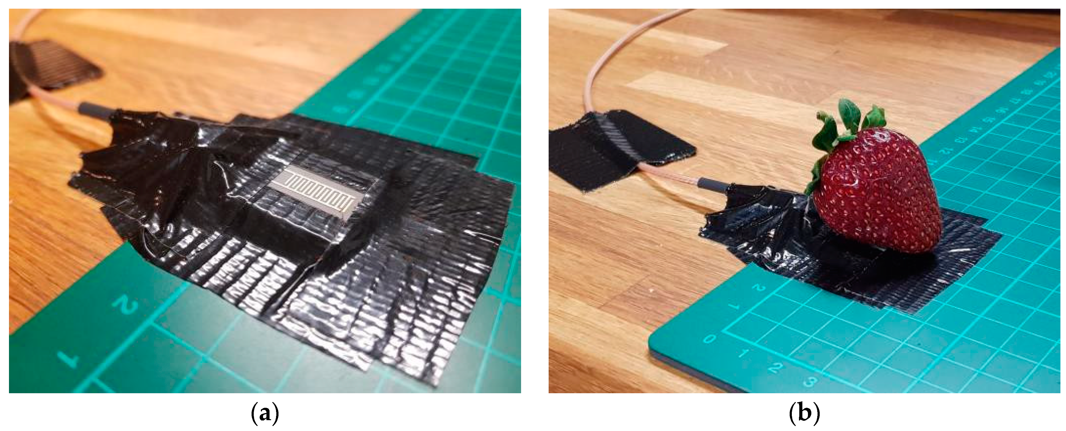 Proceedings 02 00980 g003