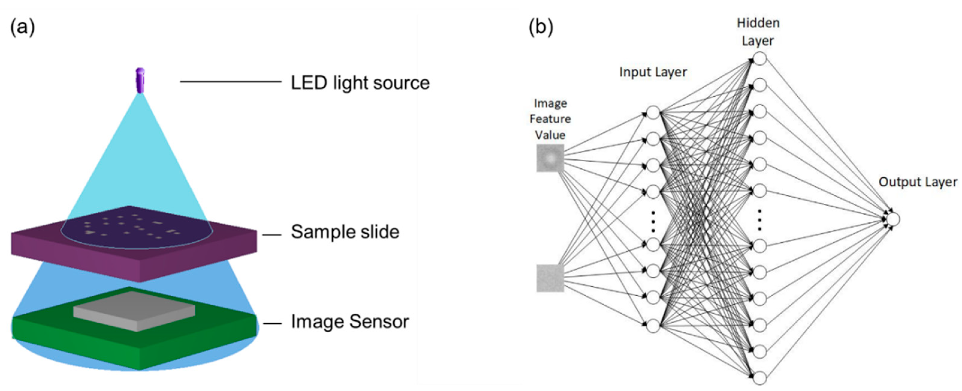 Proceedings 02 00989 g001