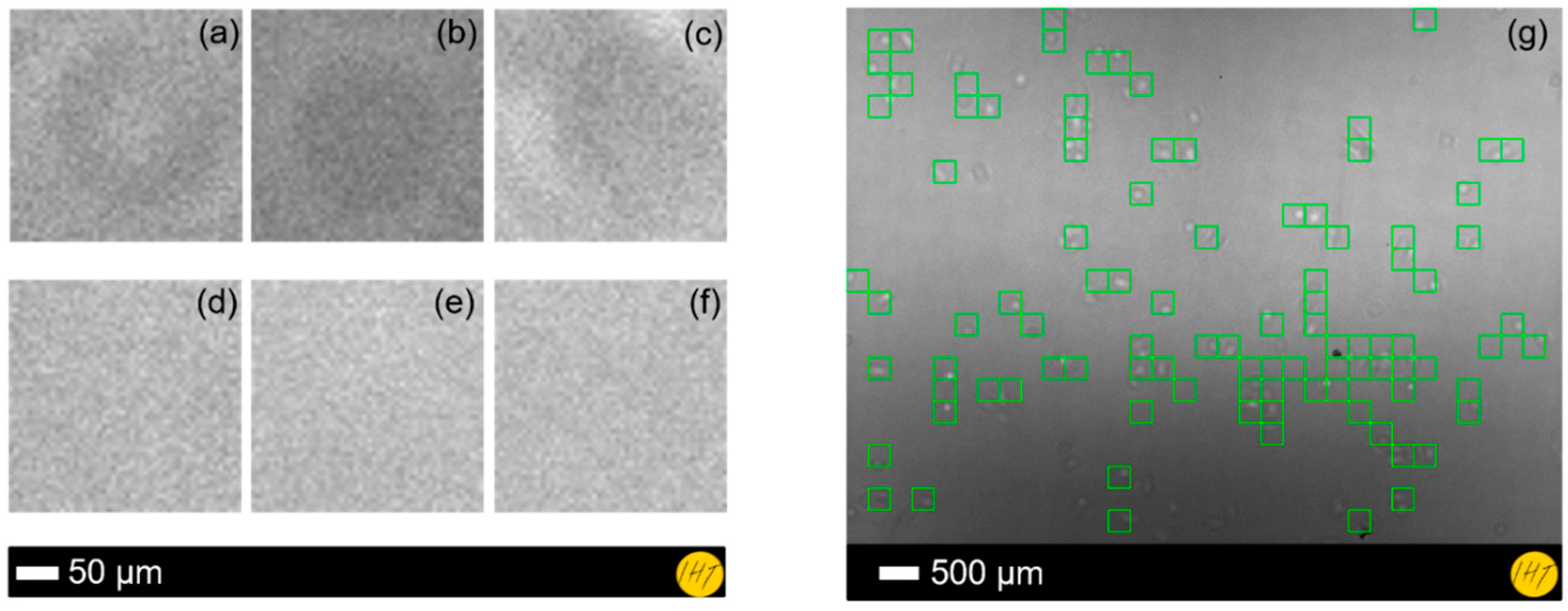 Proceedings 02 00989 g002