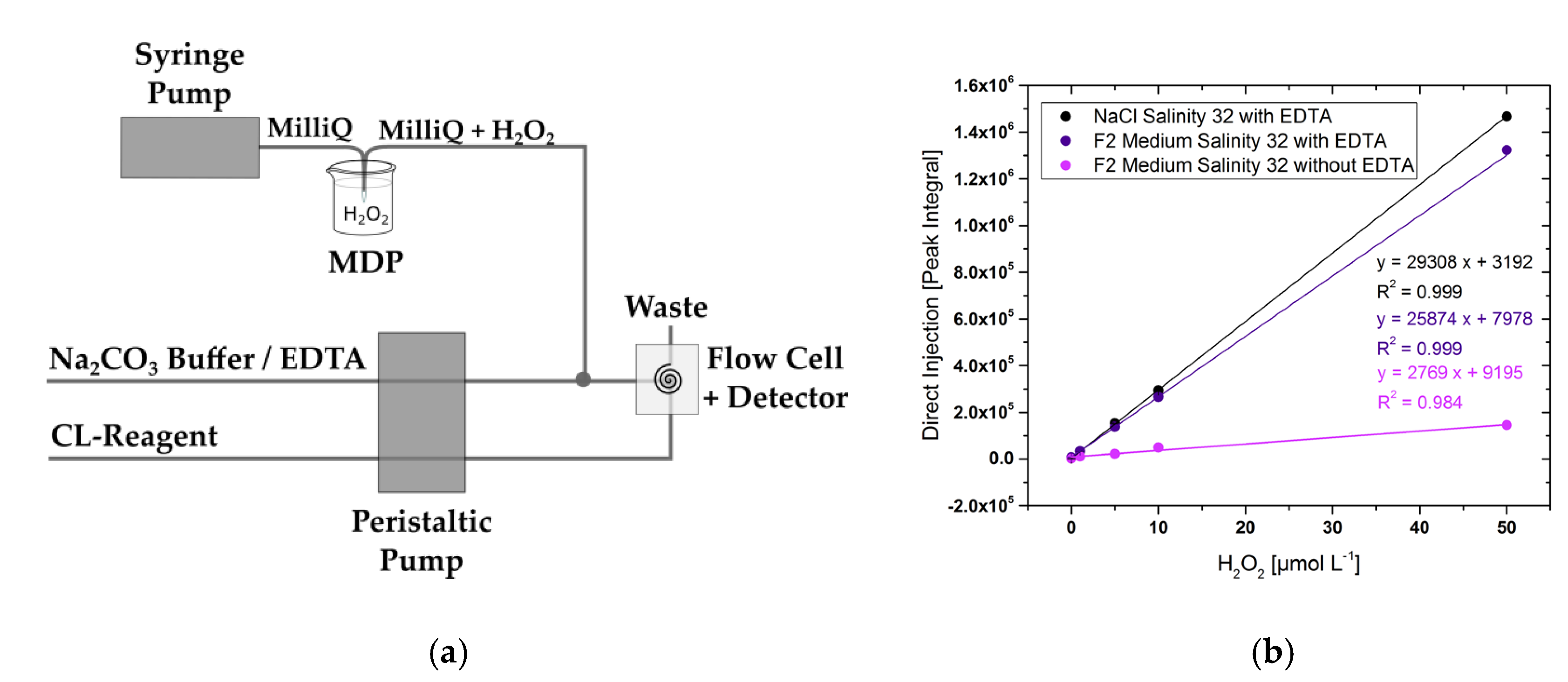 Proceedings 02 00992 g001