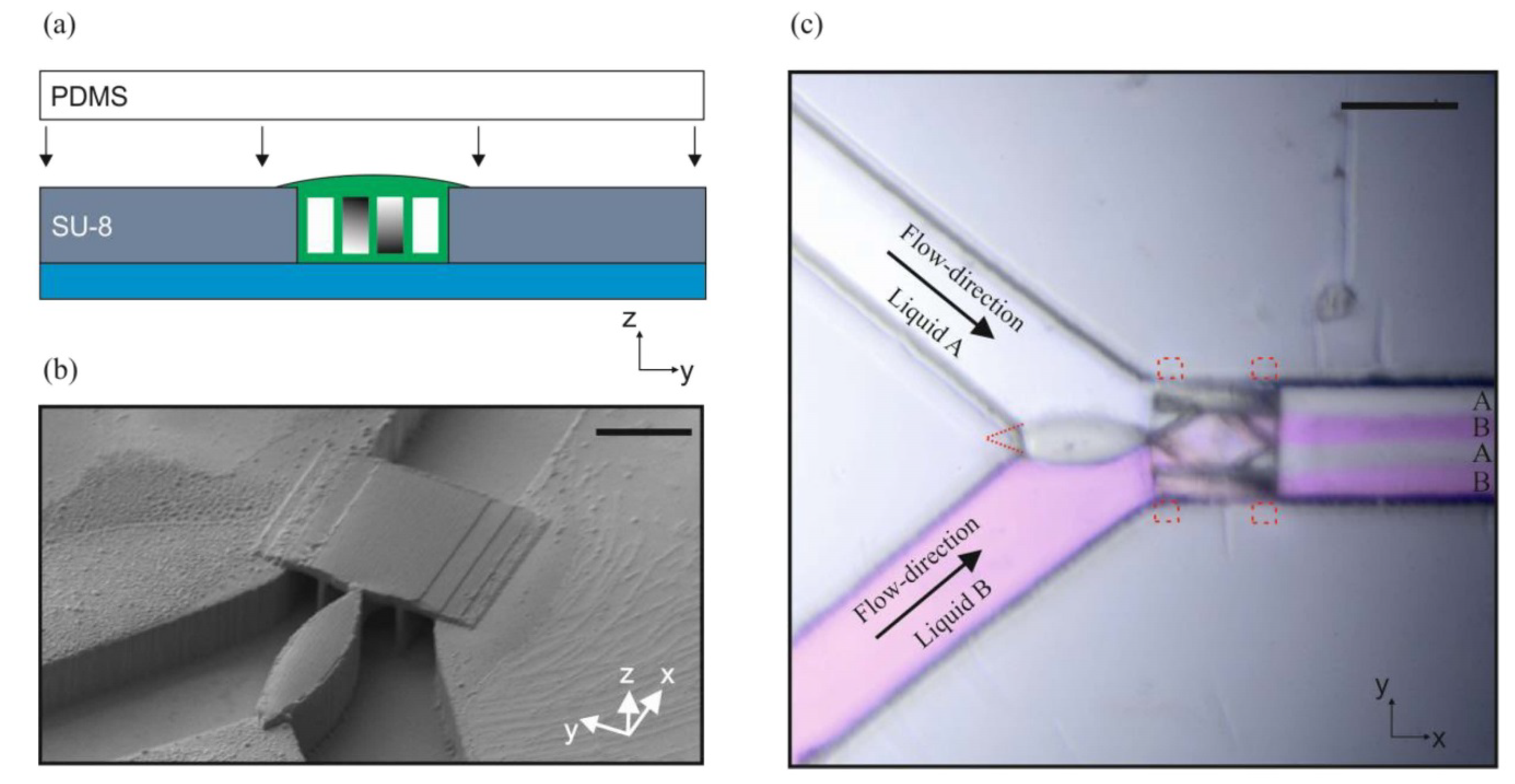 Proceedings 02 01000 g003