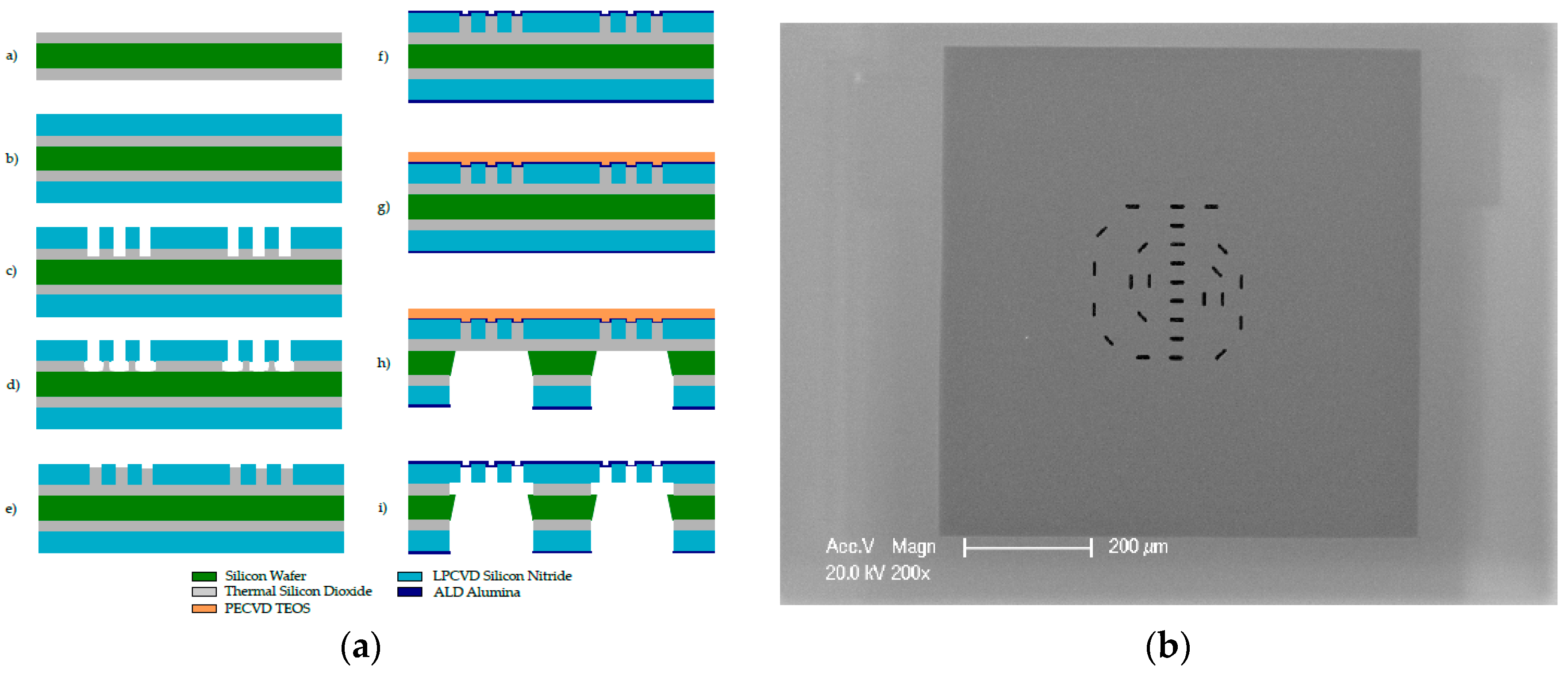 Proceedings 02 01001 g002 550