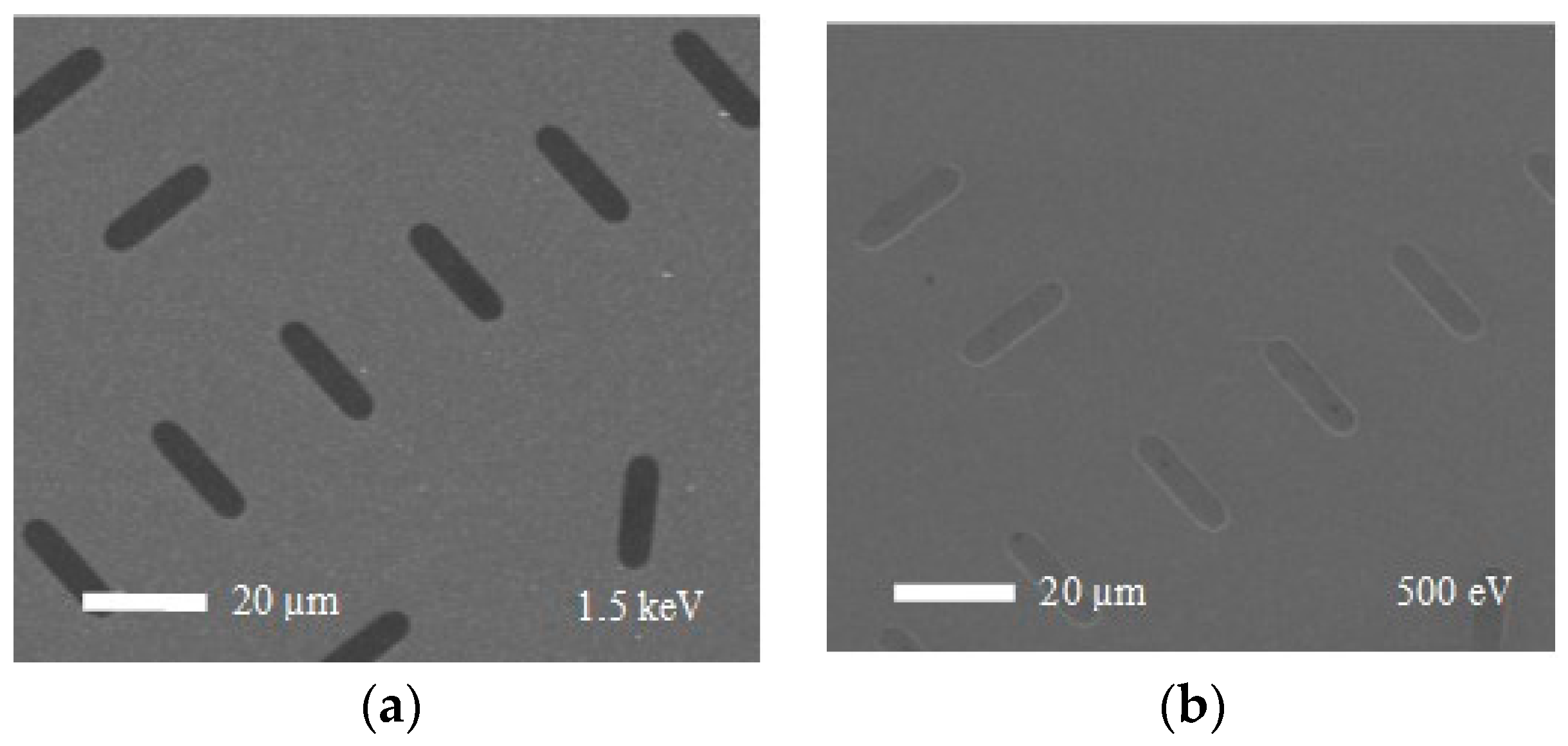 Proceedings 02 01001 g003 550