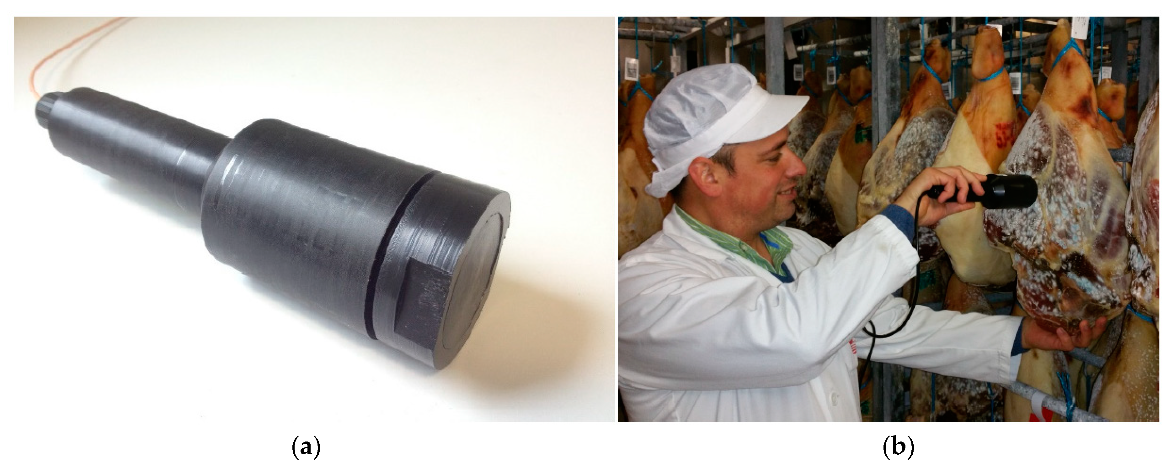 Proceedings 02 01003 g001 550