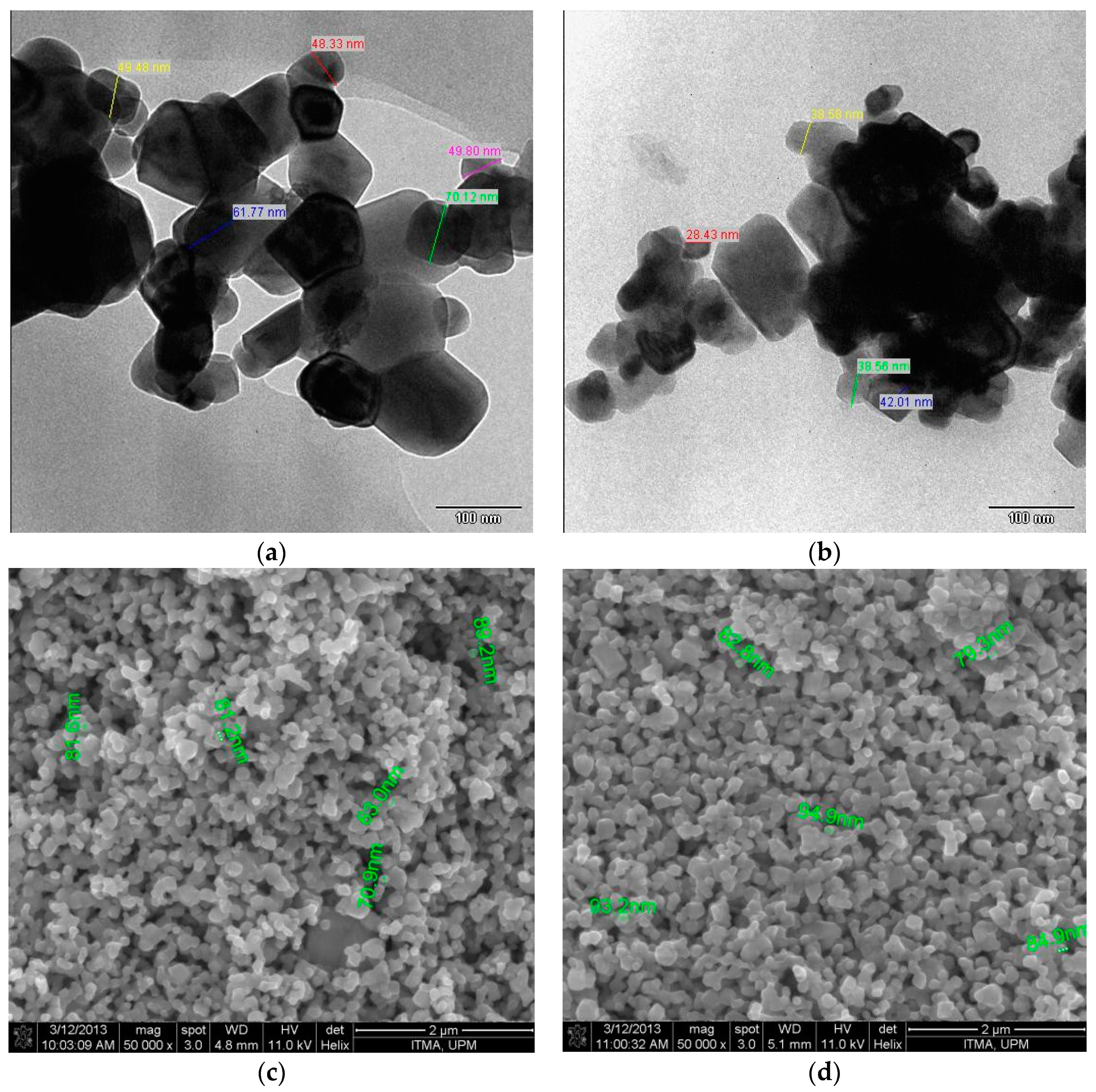 Proceedings 02 01007 g001