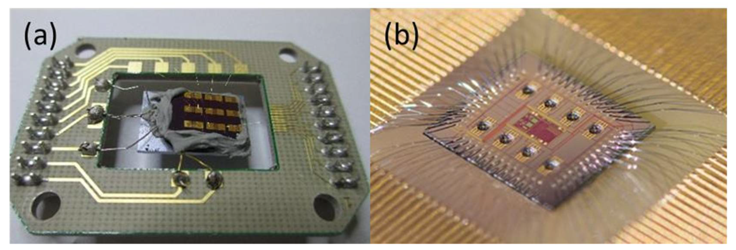 Proceedings 02 01012 g001 550