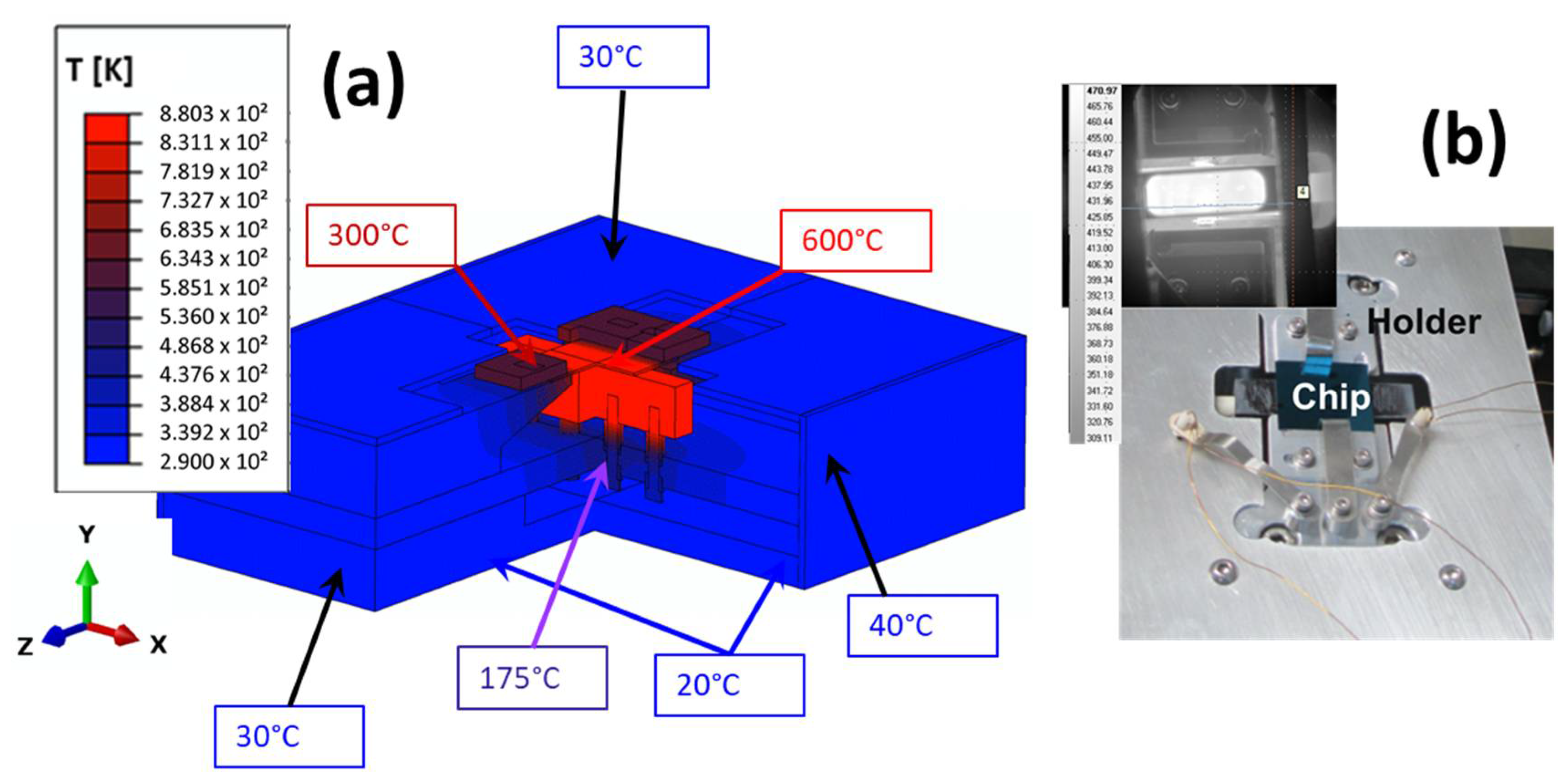 Proceedings 02 01012 g003 550