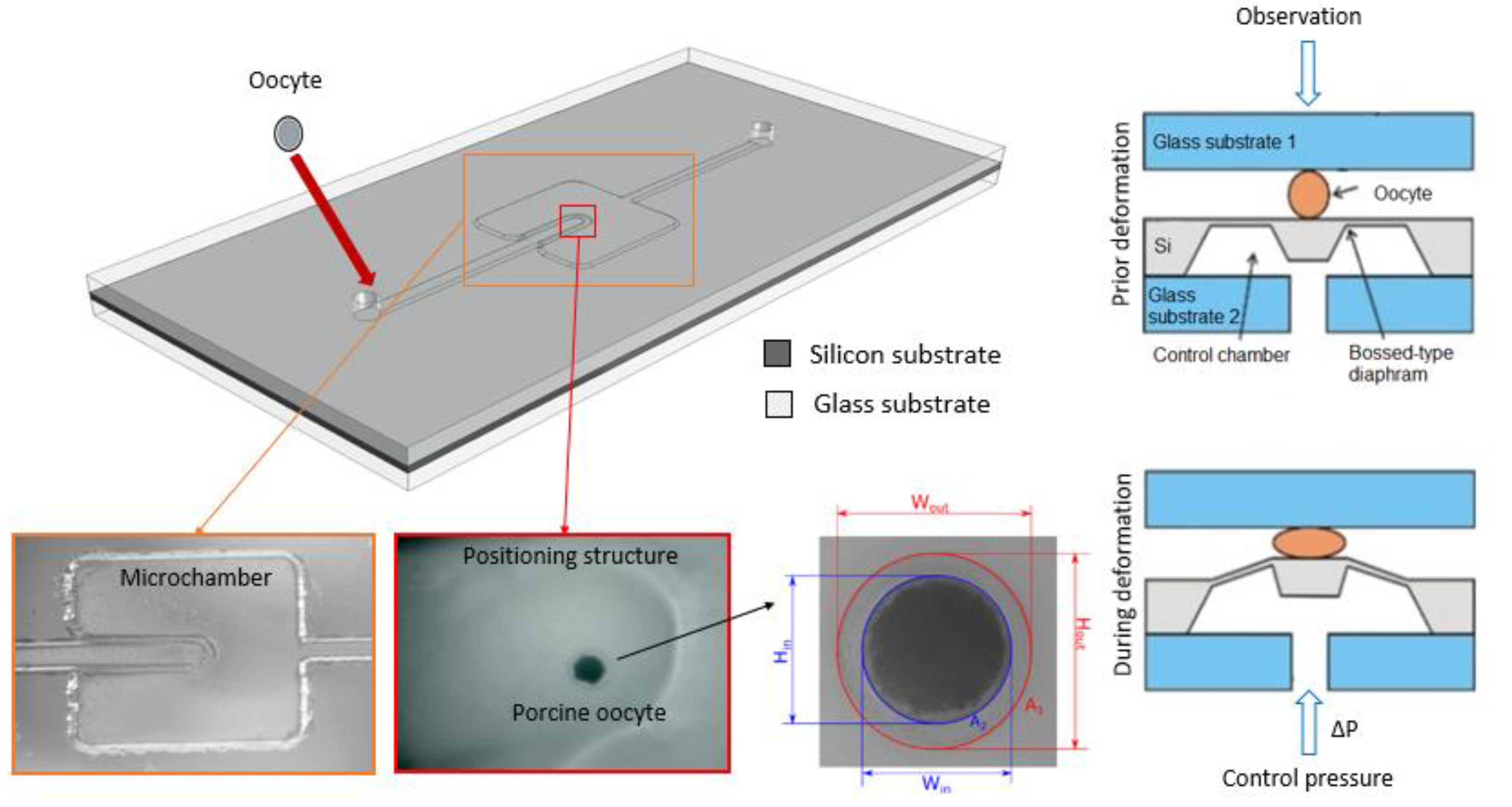 Proceedings 02 01015 g001 550
