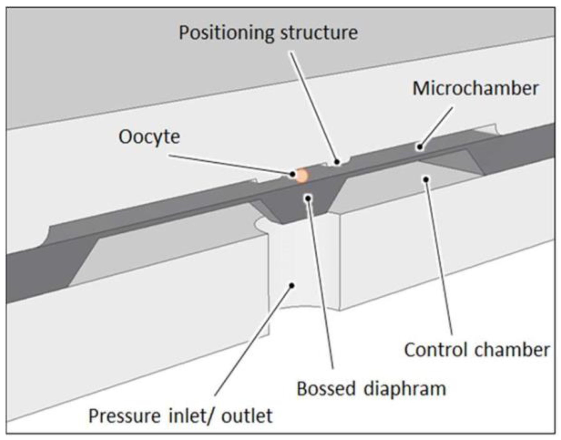 Proceedings 02 01015 g002 550