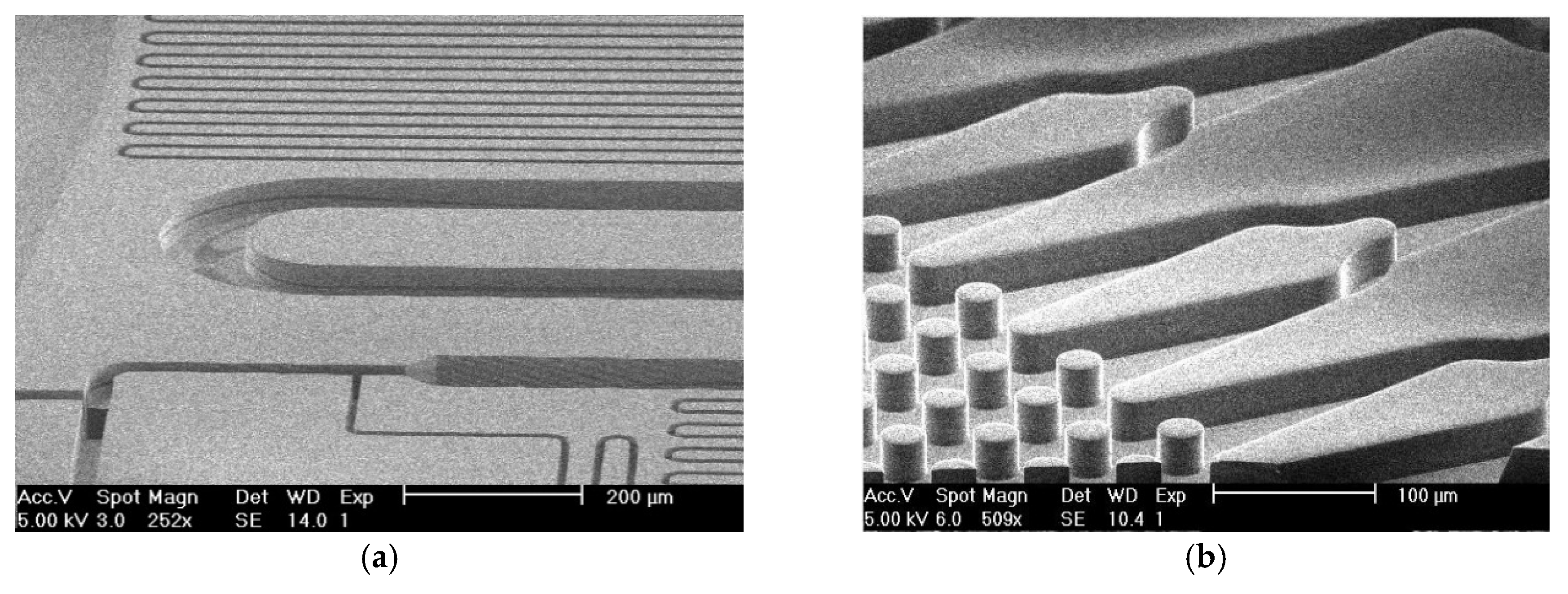 Proceedings 02 01018 g002 550