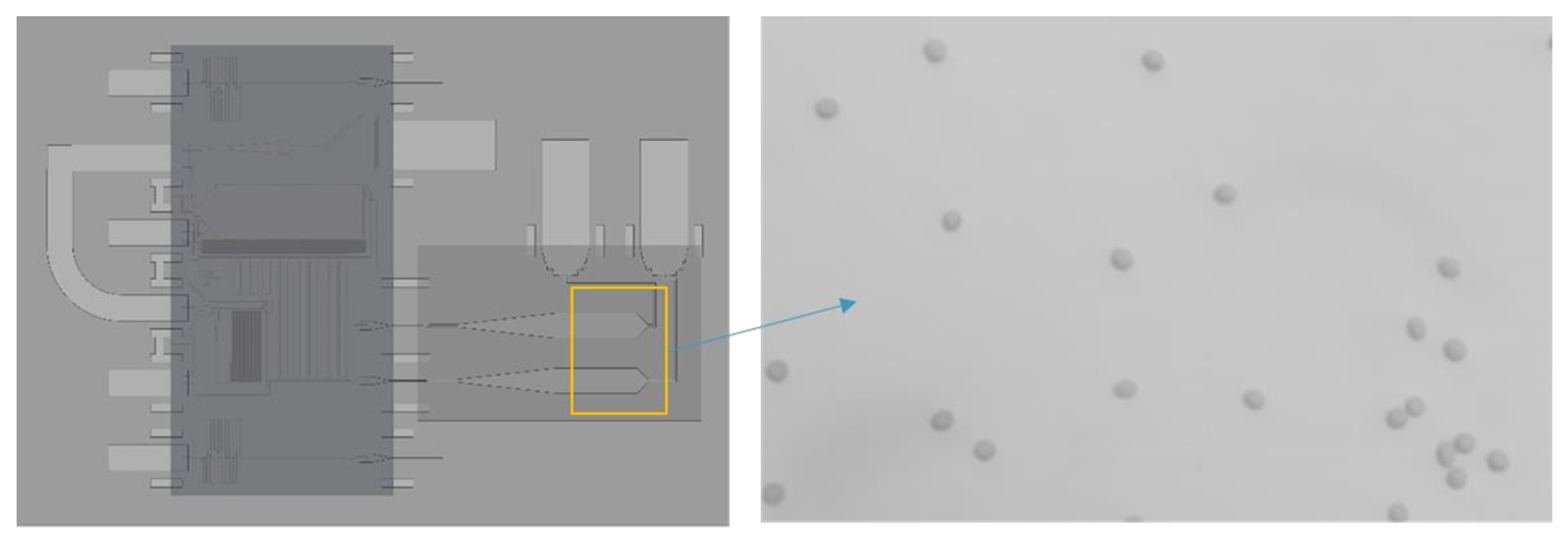 Proceedings 02 01018 g004 550