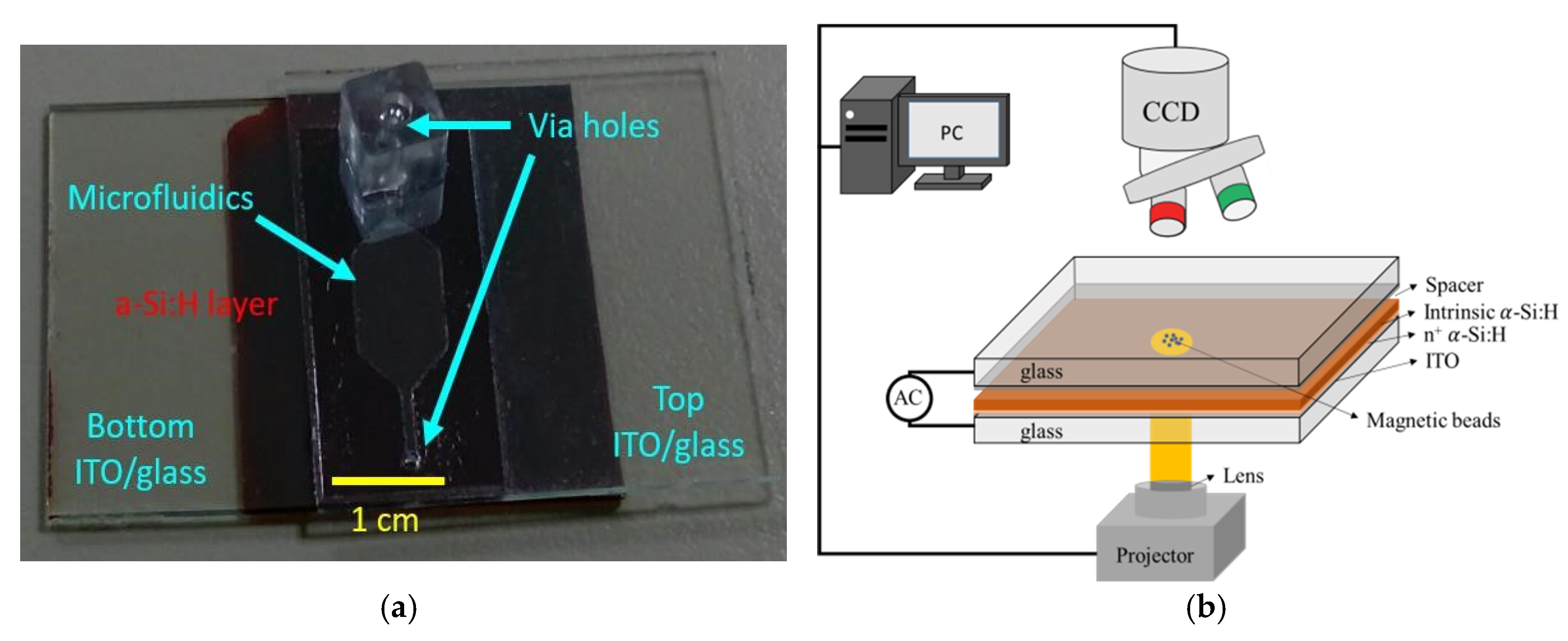Proceedings 02 01019 g001 550