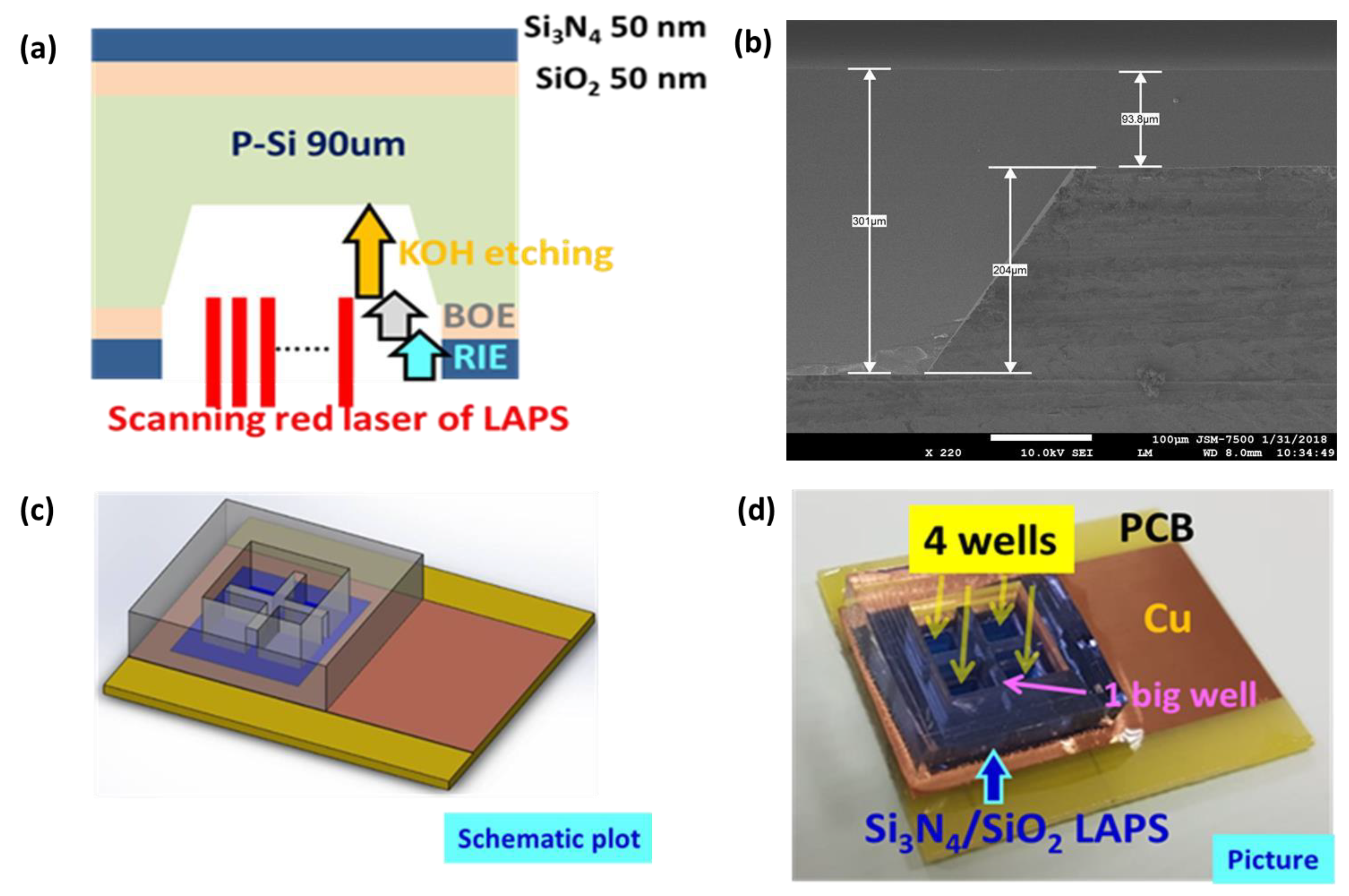 Proceedings 02 01020 g001 550