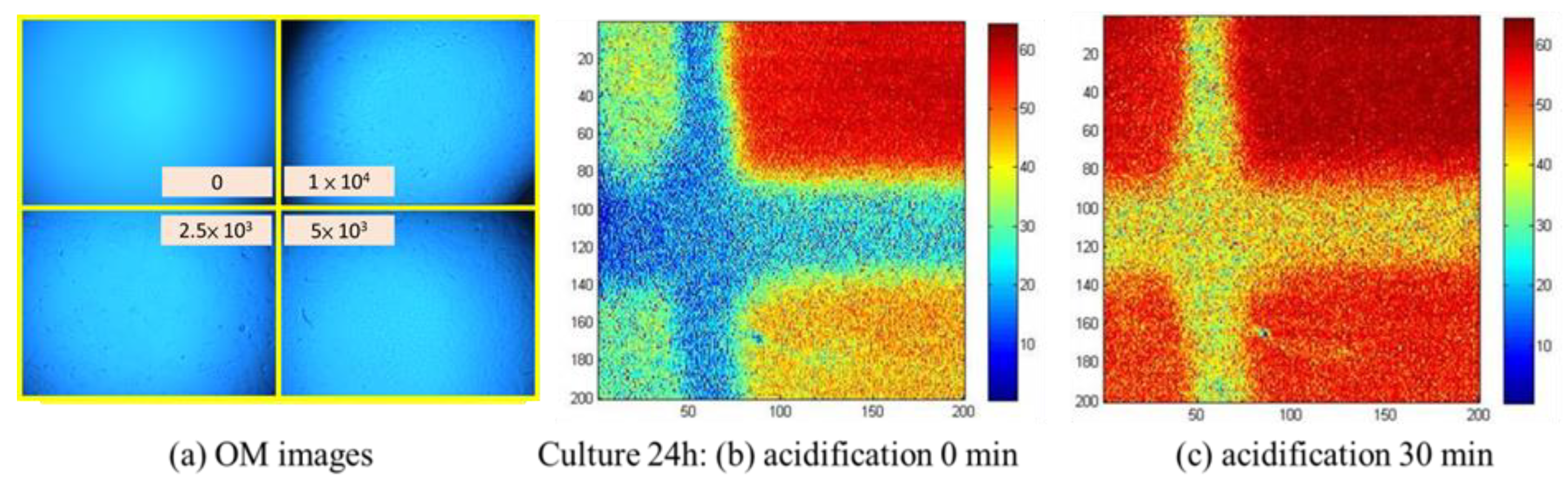 Proceedings 02 01020 g003 550