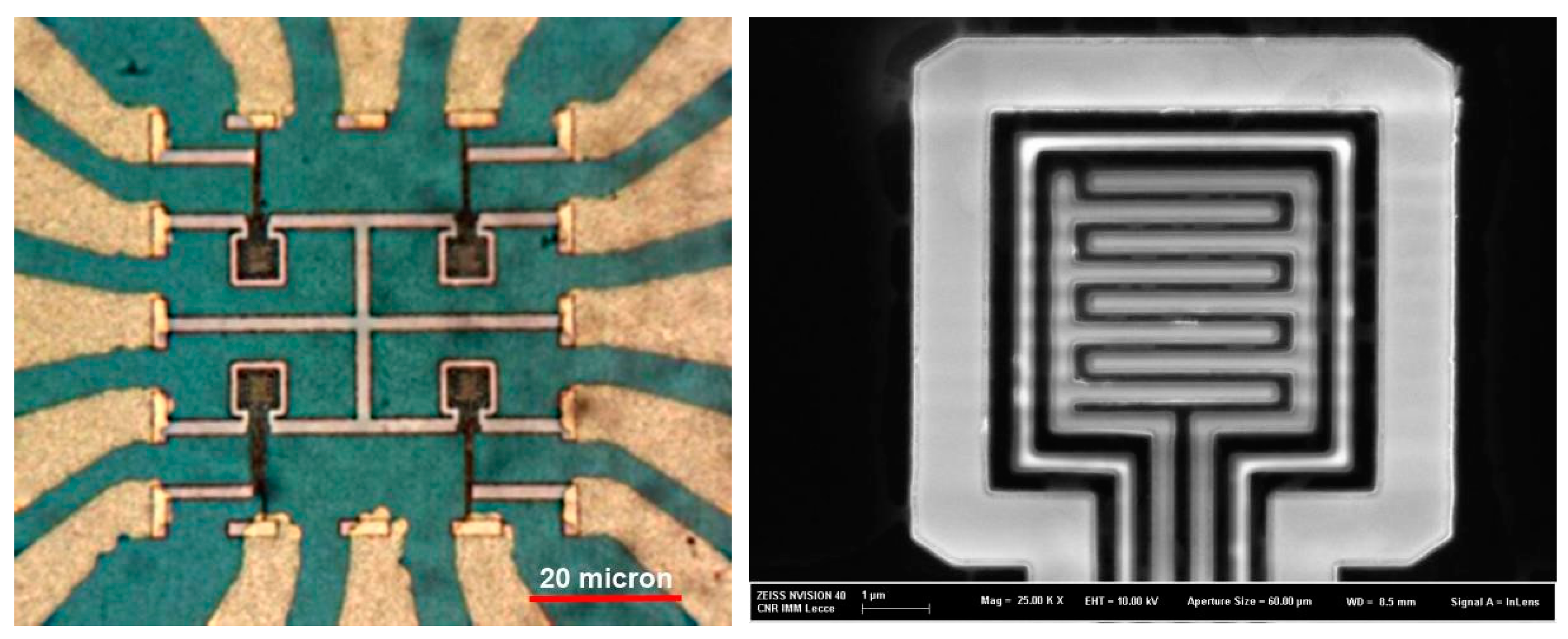 Proceedings 02 01027 g001