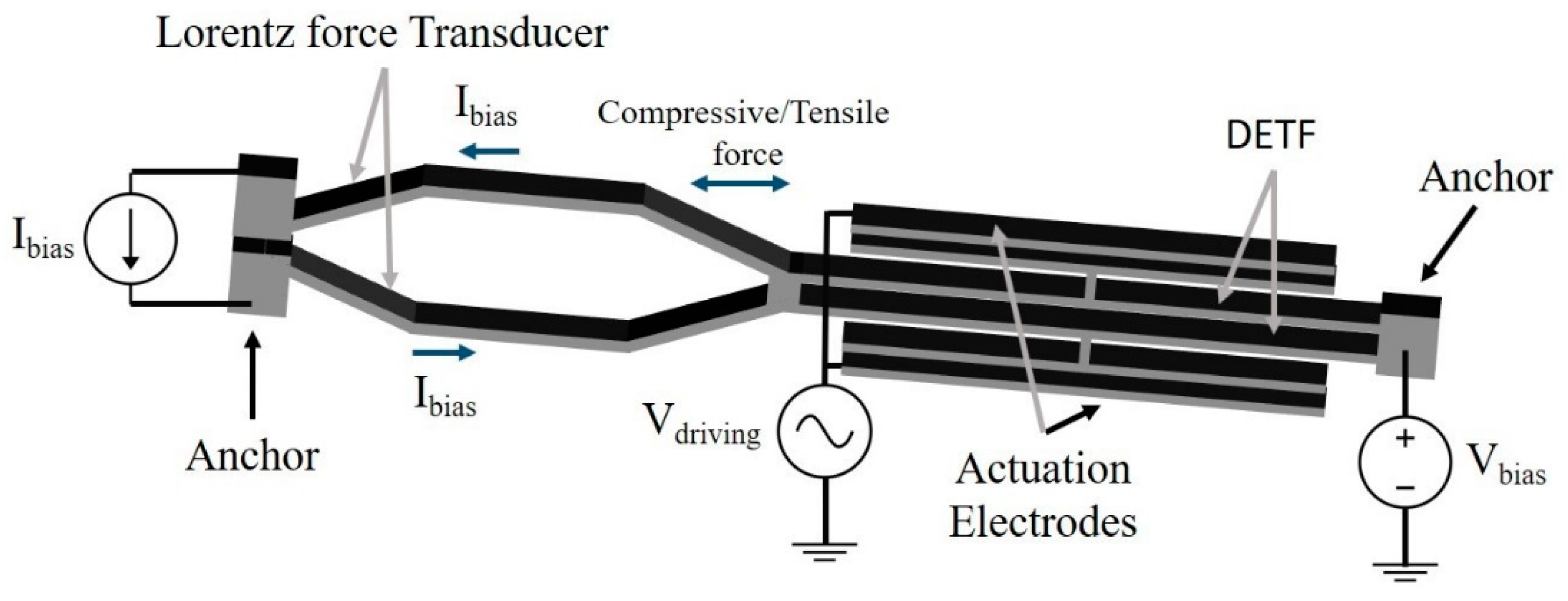 Proceedings 02 01028 g001