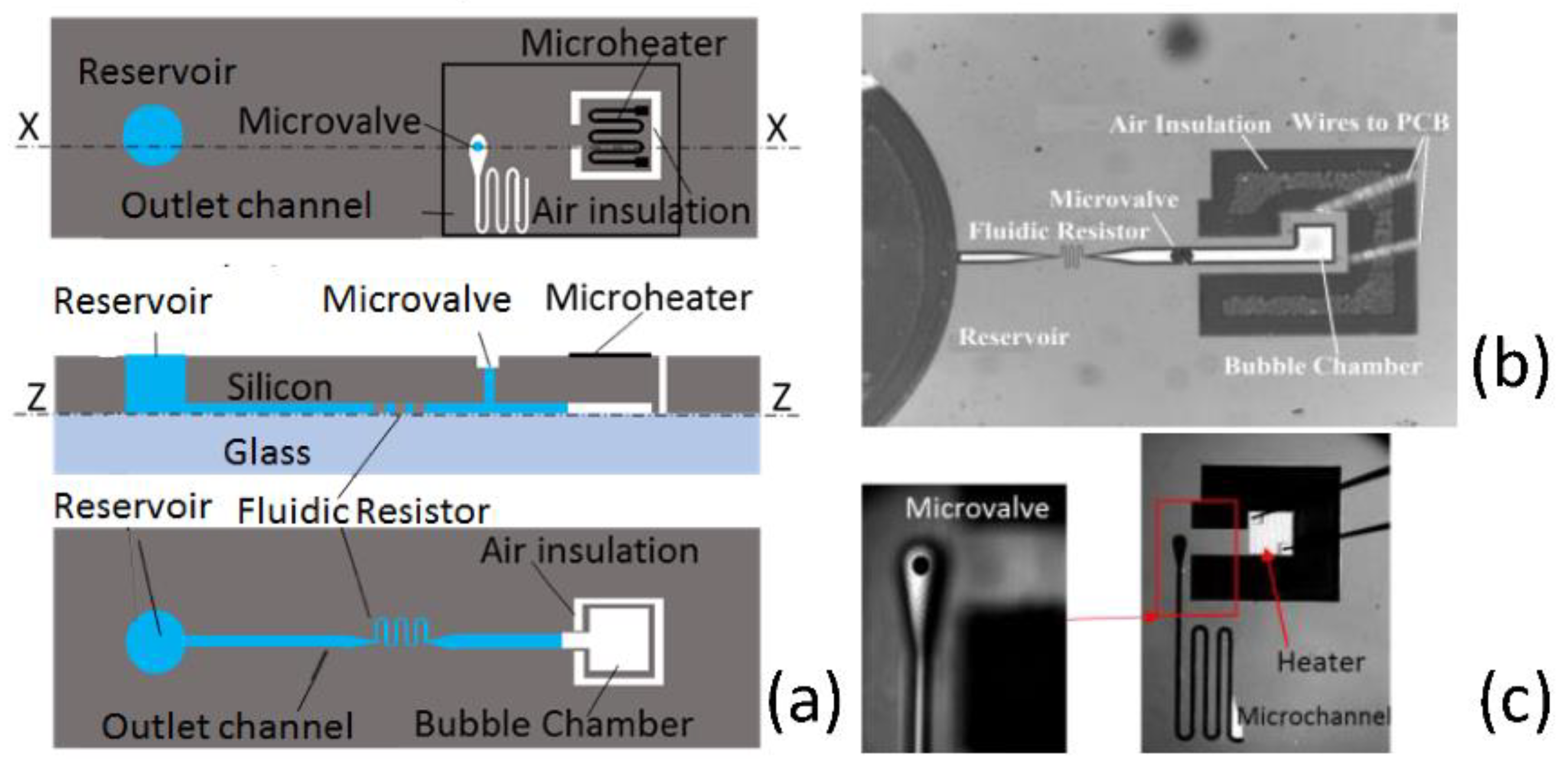 Proceedings 02 01031 g001