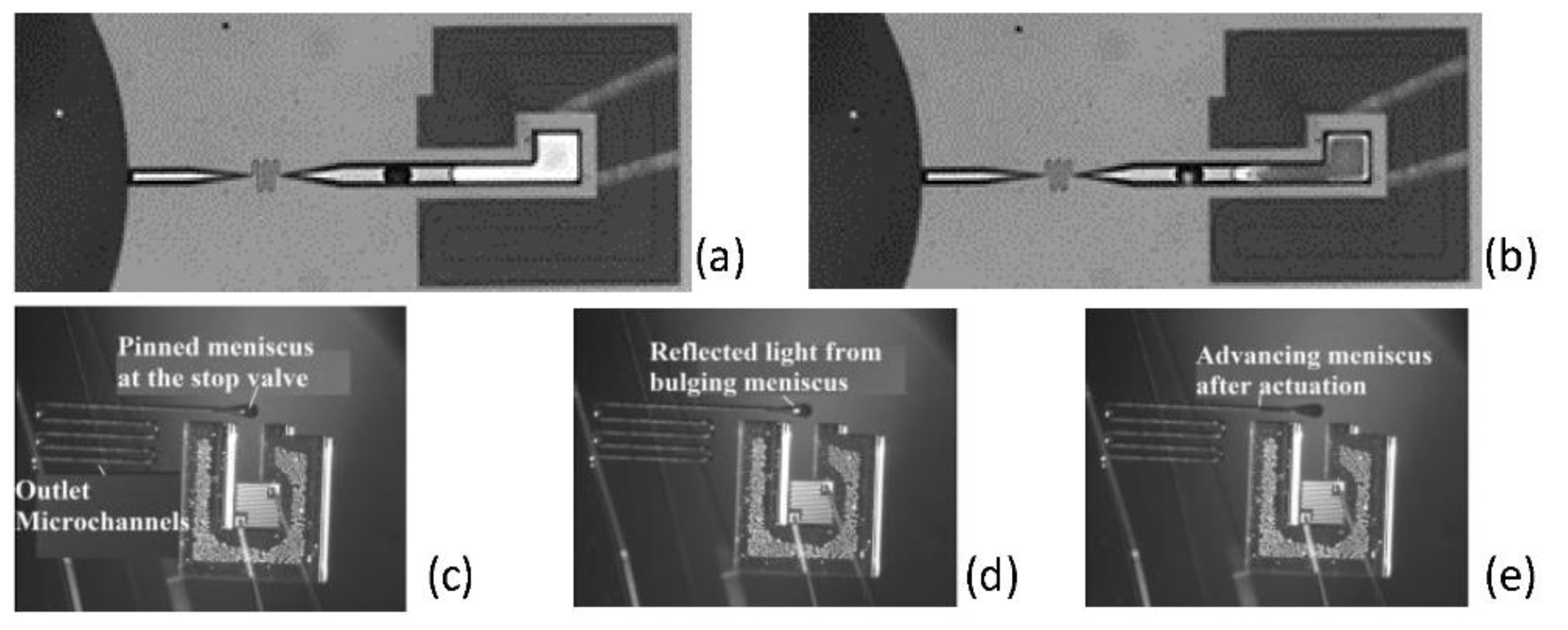 Proceedings 02 01031 g003