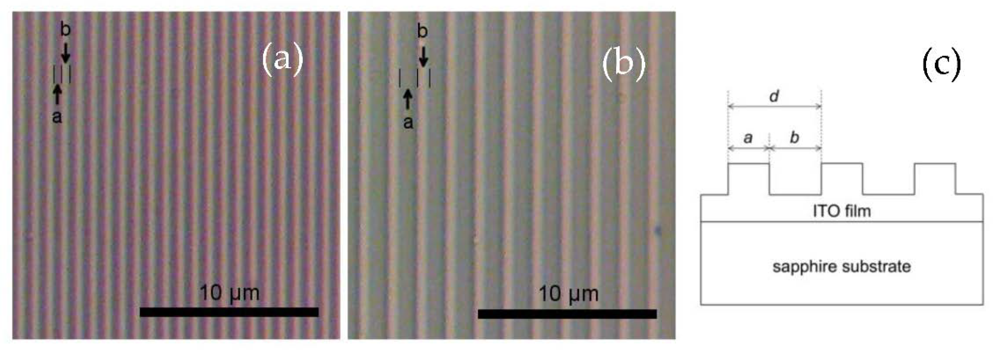 Proceedings 02 01034 g001