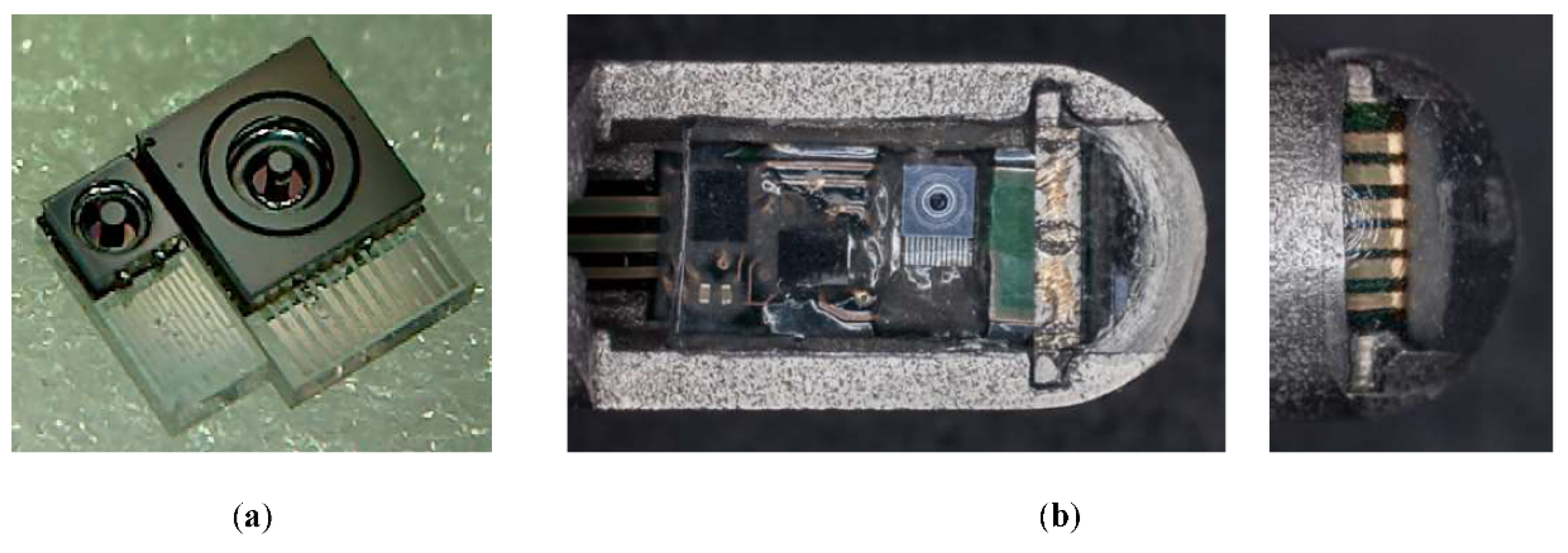 Proceedings 02 01035 g001