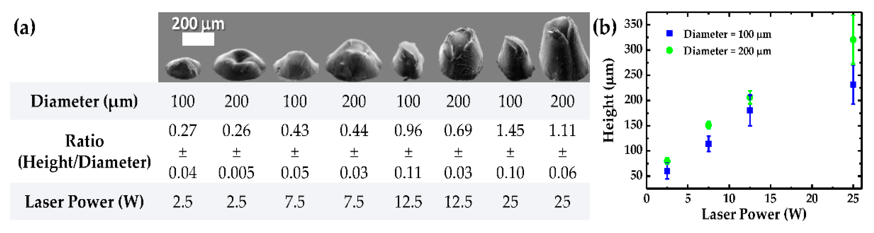 Proceedings 02 01039 g001