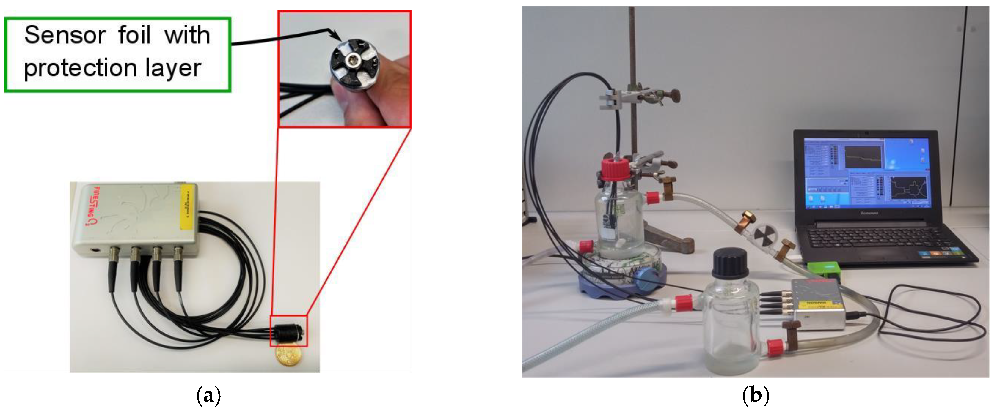 Proceedings 02 01041 g002