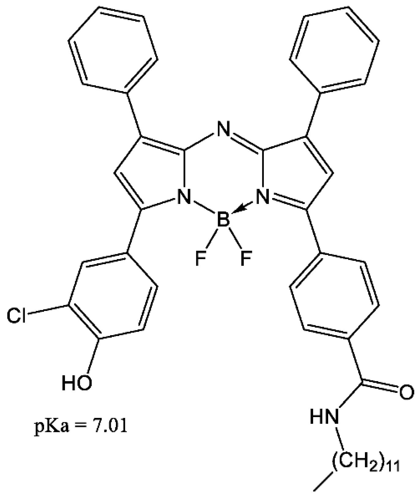 Proceedings 02 01041 g003