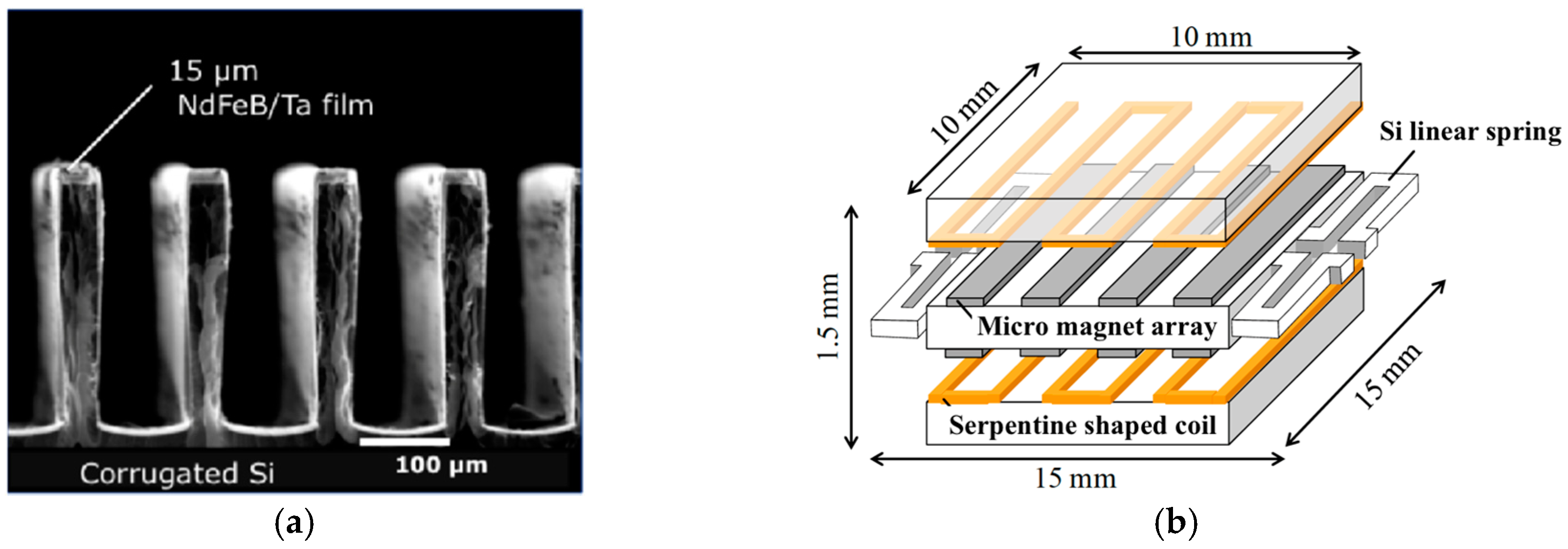 Proceedings 02 01043 g001
