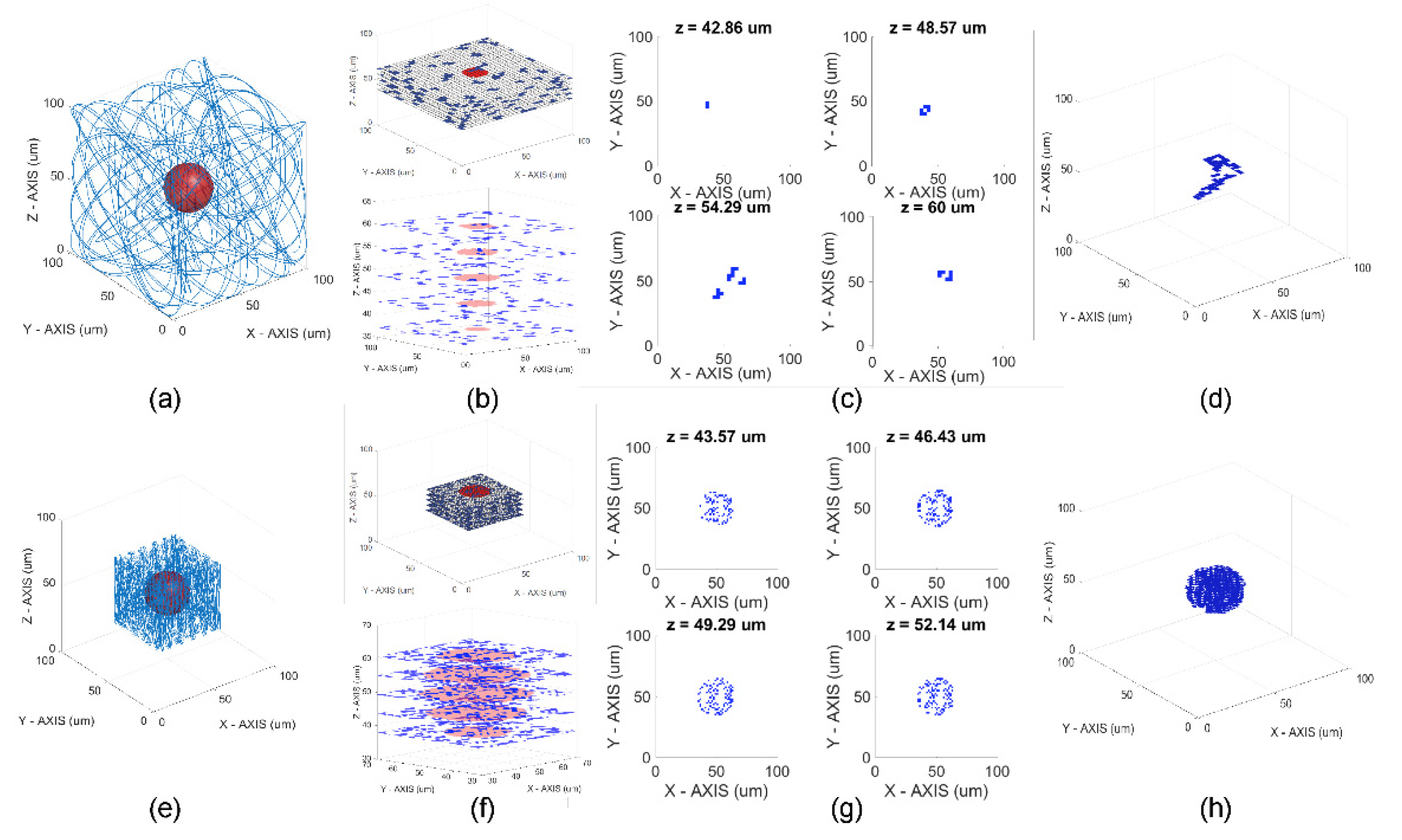 Proceedings 02 01067 g003 550