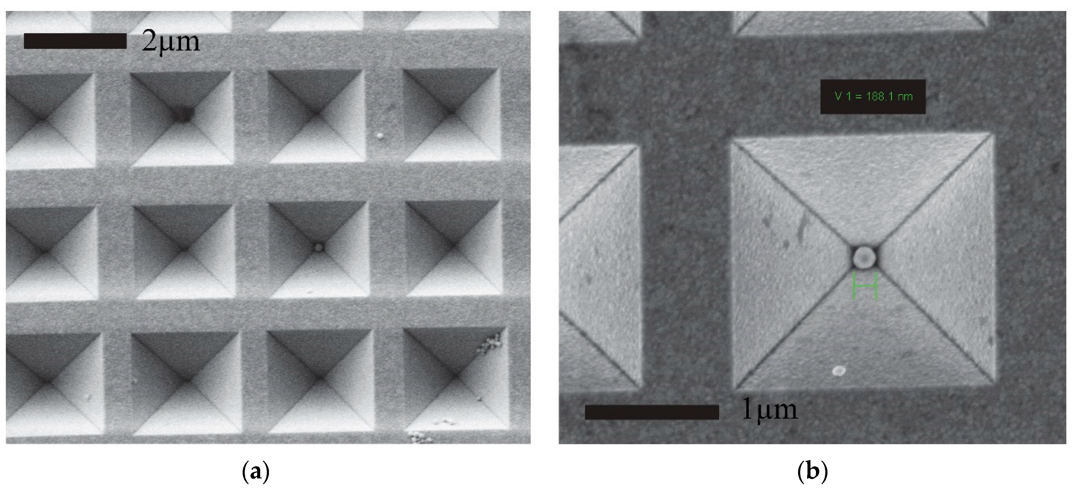 Proceedings 02 01069 g001