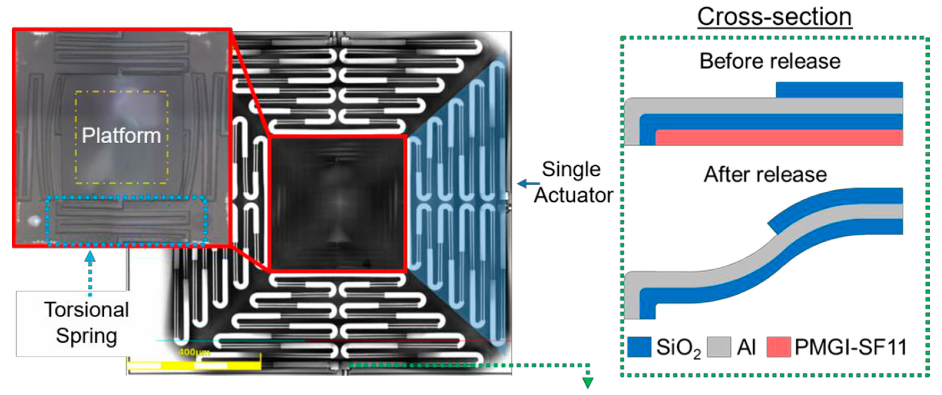 Proceedings 02 01072 g001 550