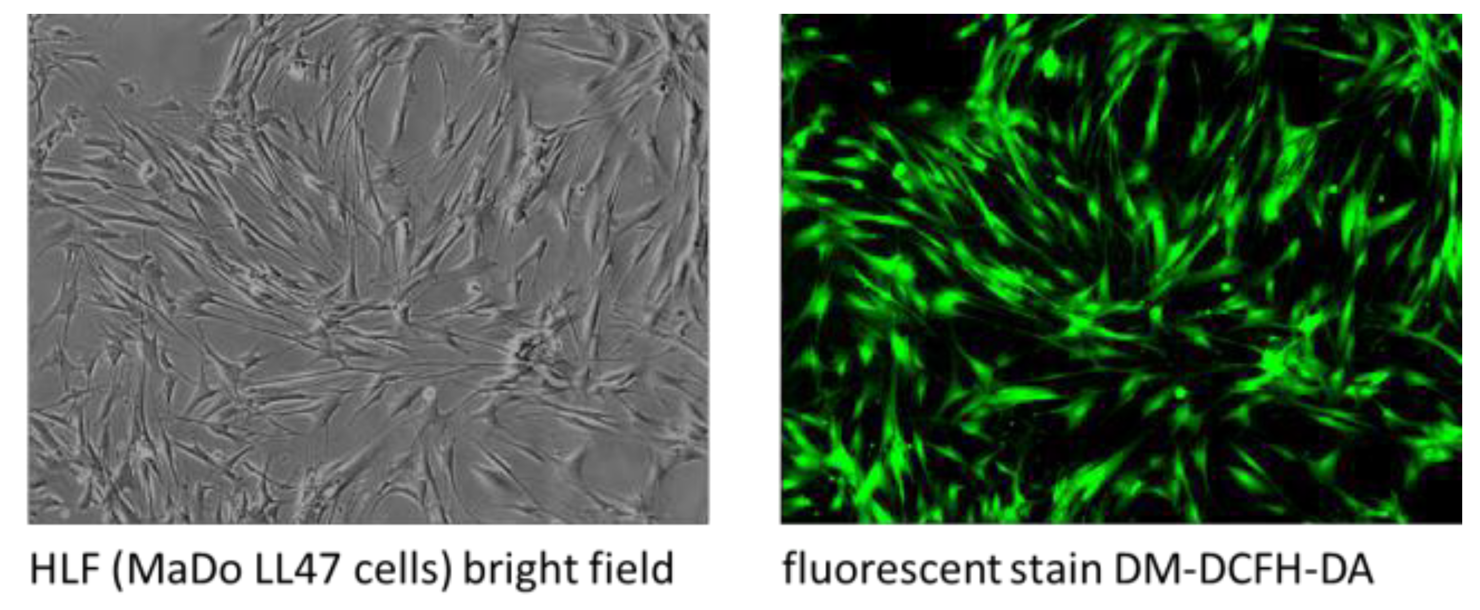 Proceedings 02 01074 g004 550