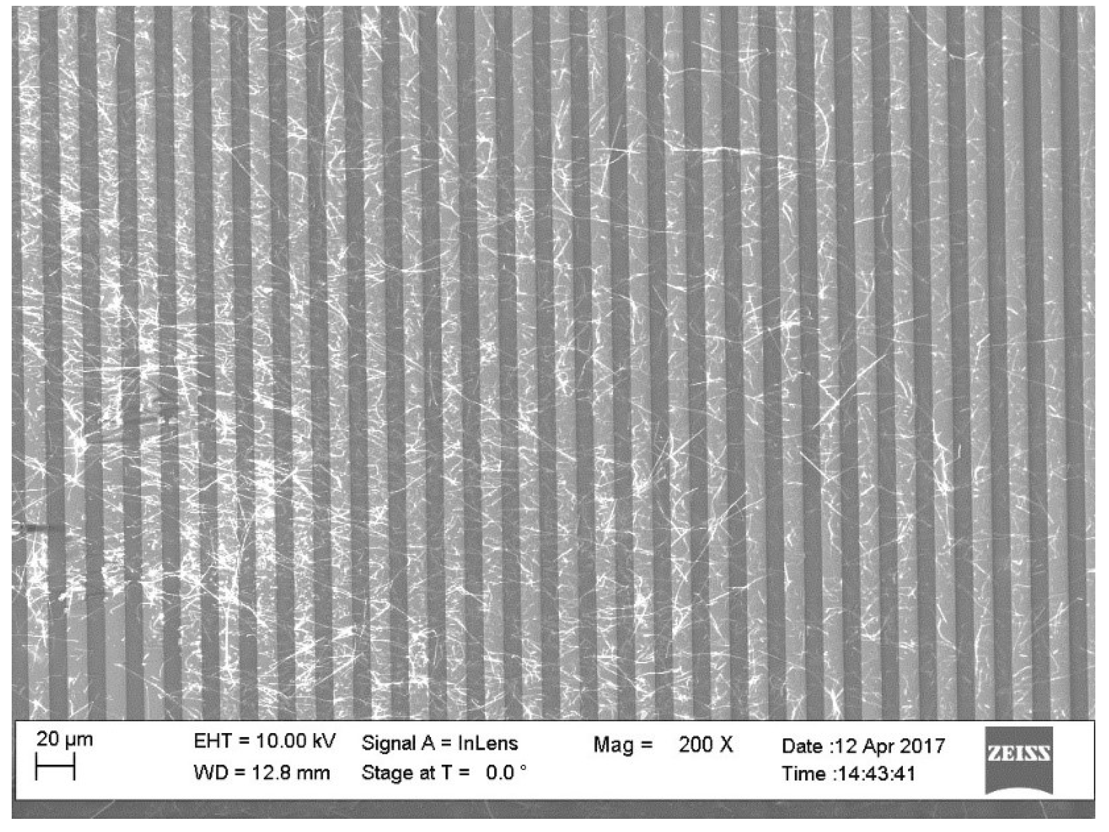 Proceedings 02 01076 g002