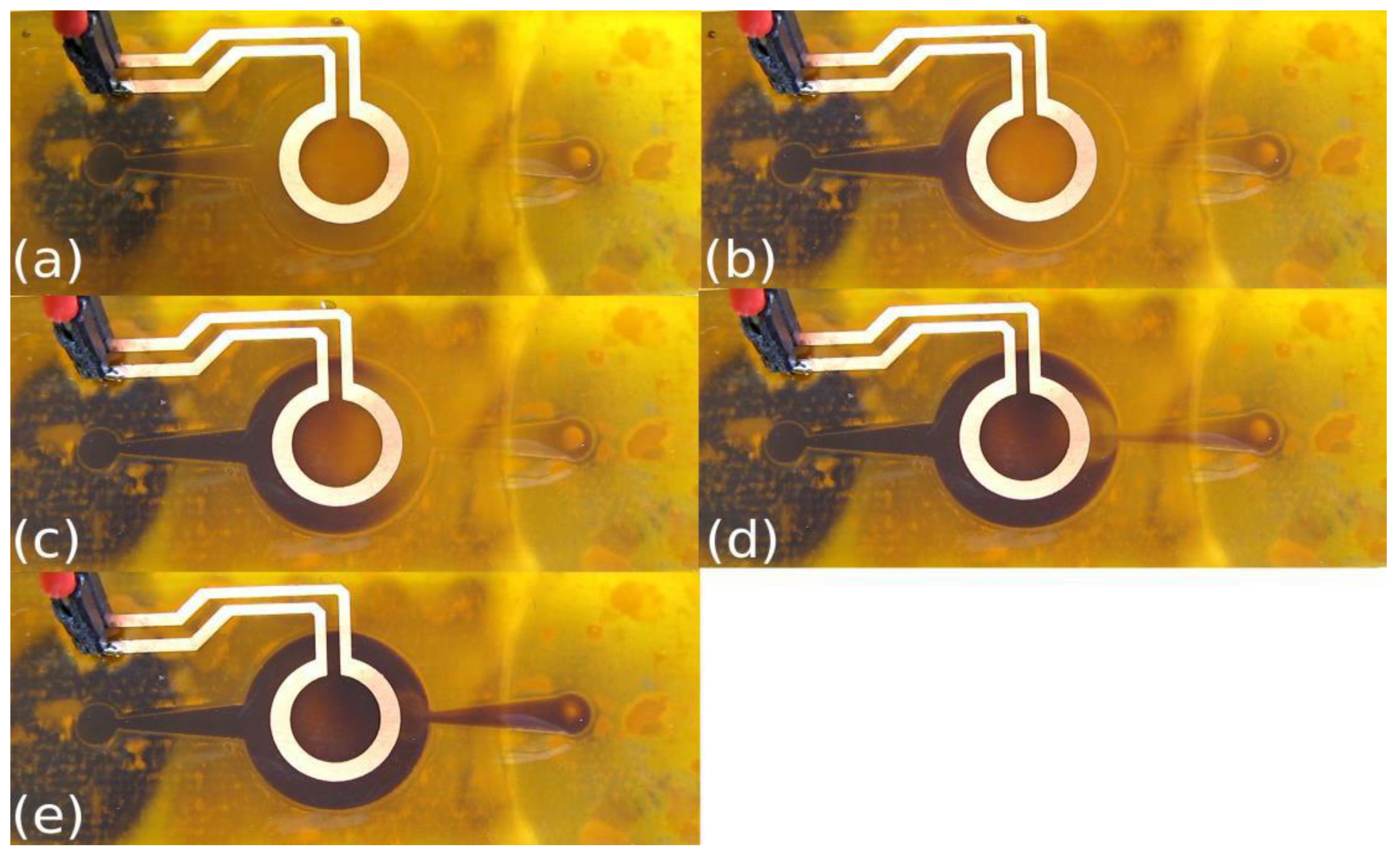 Proceedings 02 01077 g004 550