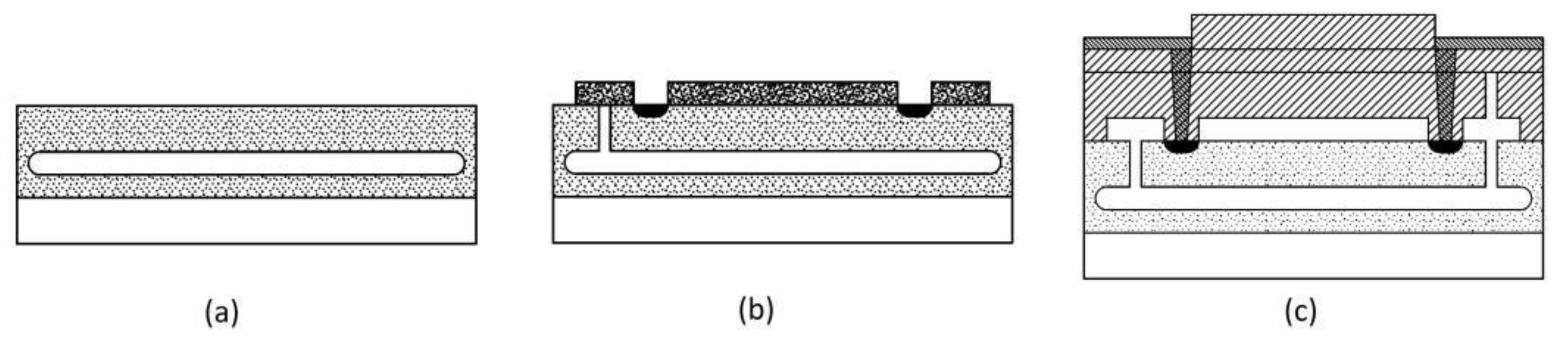 Proceedings 02 01080 g002