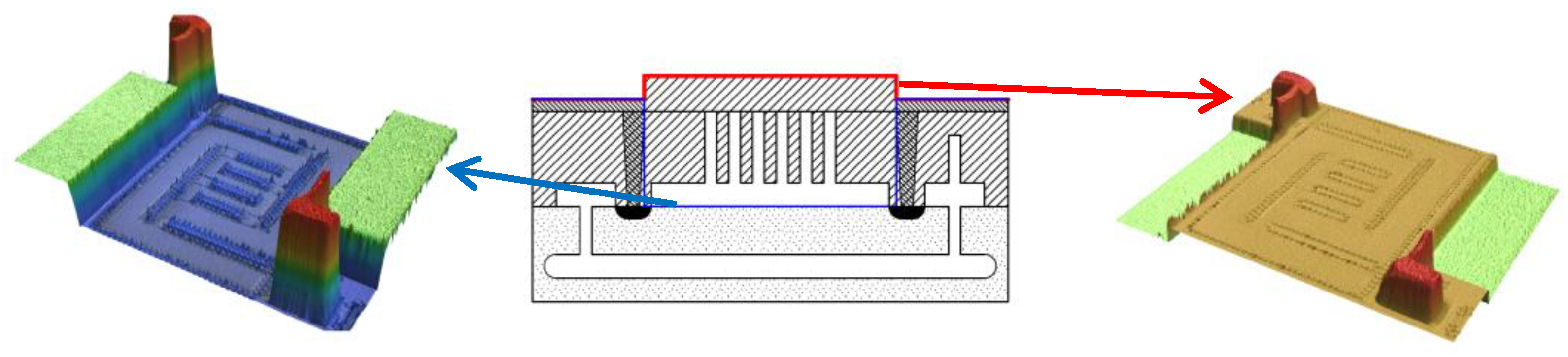 Proceedings 02 01080 g003