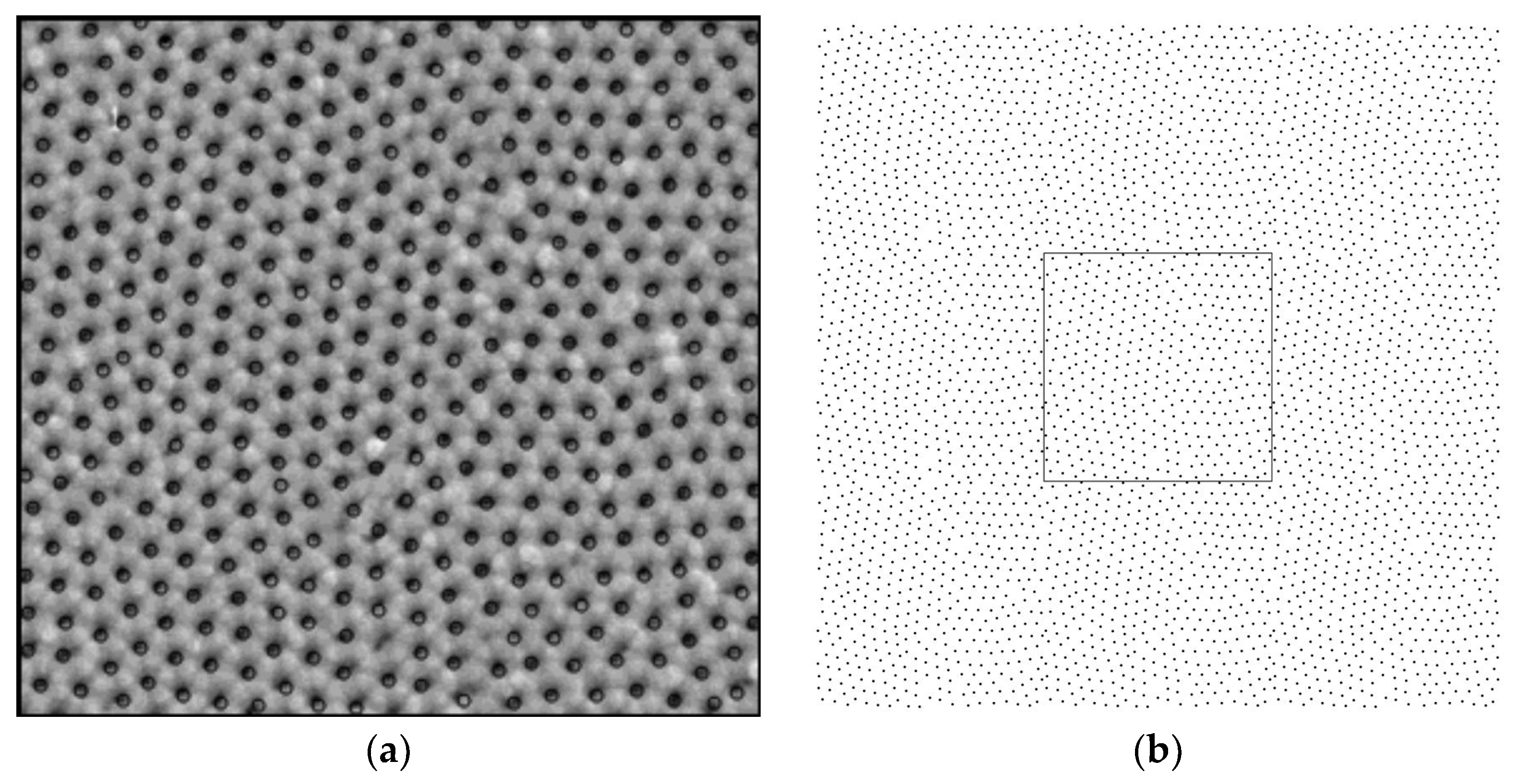 Proceedings 02 01117 g001