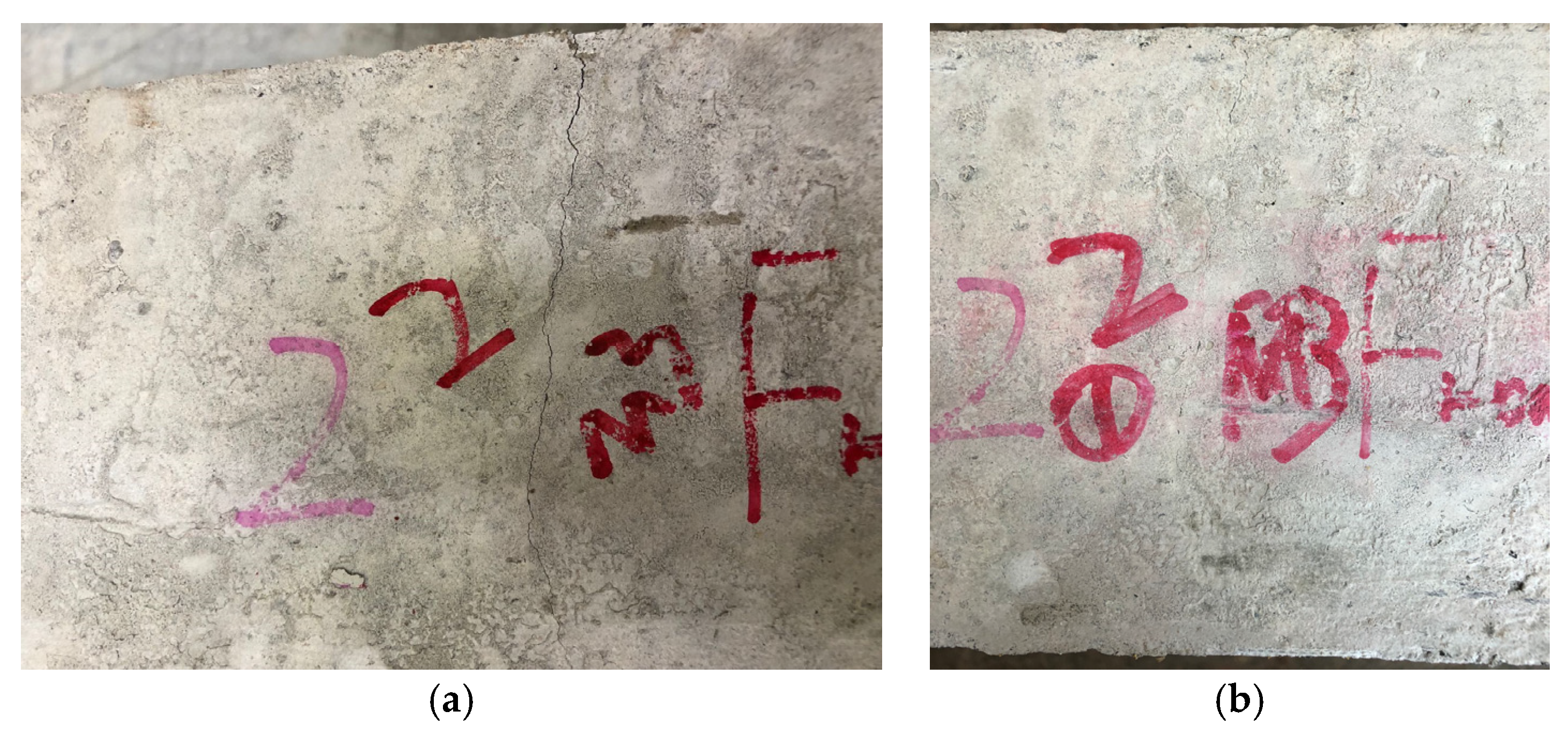 Proceedings 02 01144 g001 550