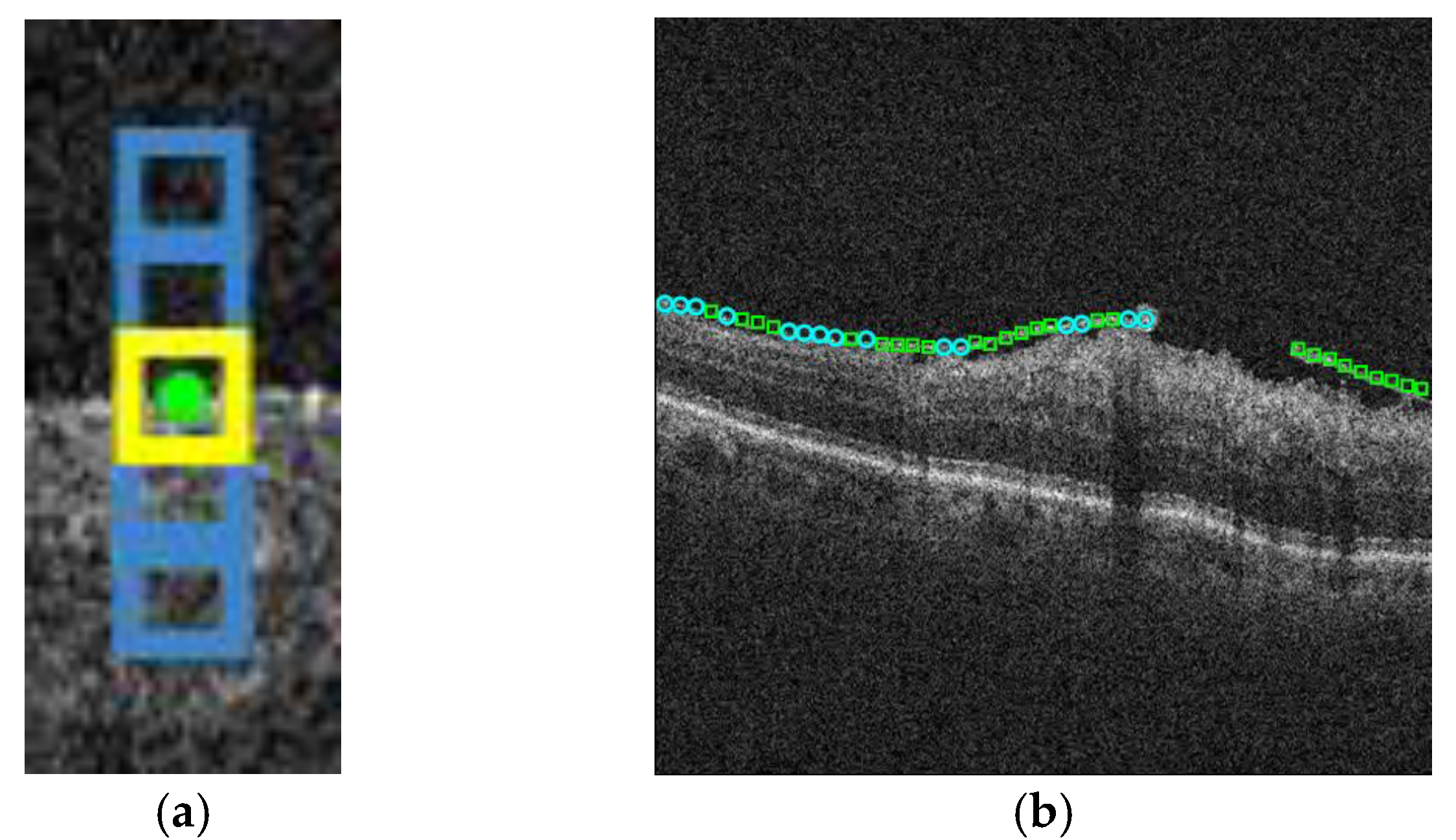 Proceedings 02 01161 g001