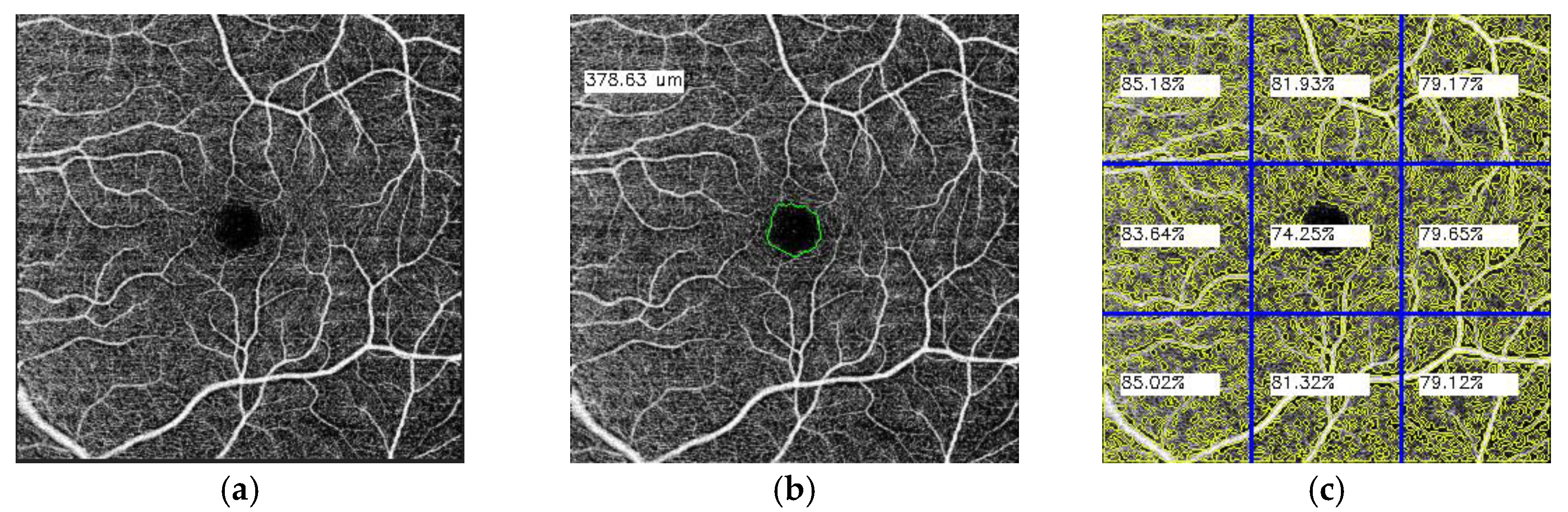 Proceedings 02 01169 g001 550