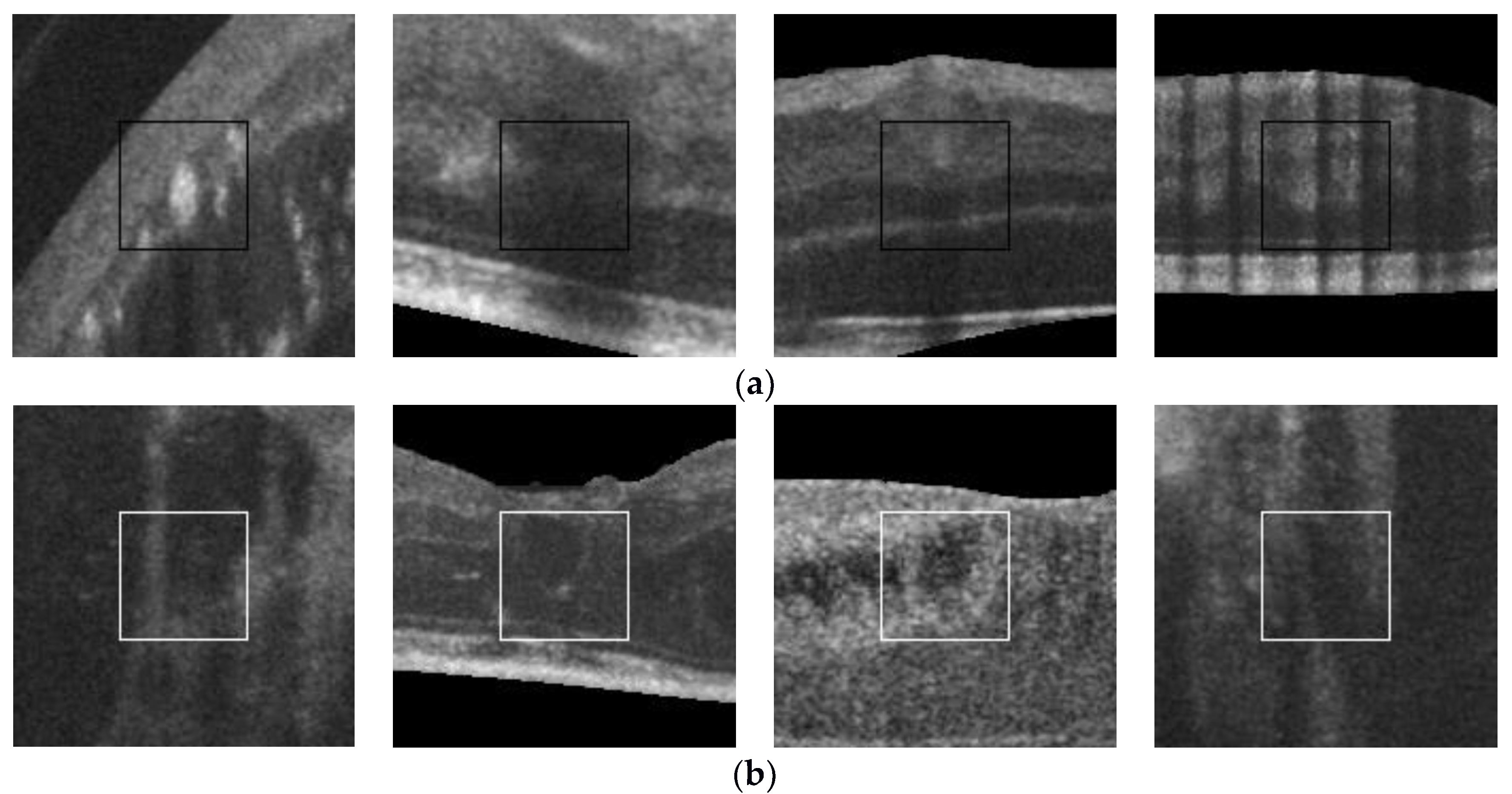 Proceedings 02 01180 g001