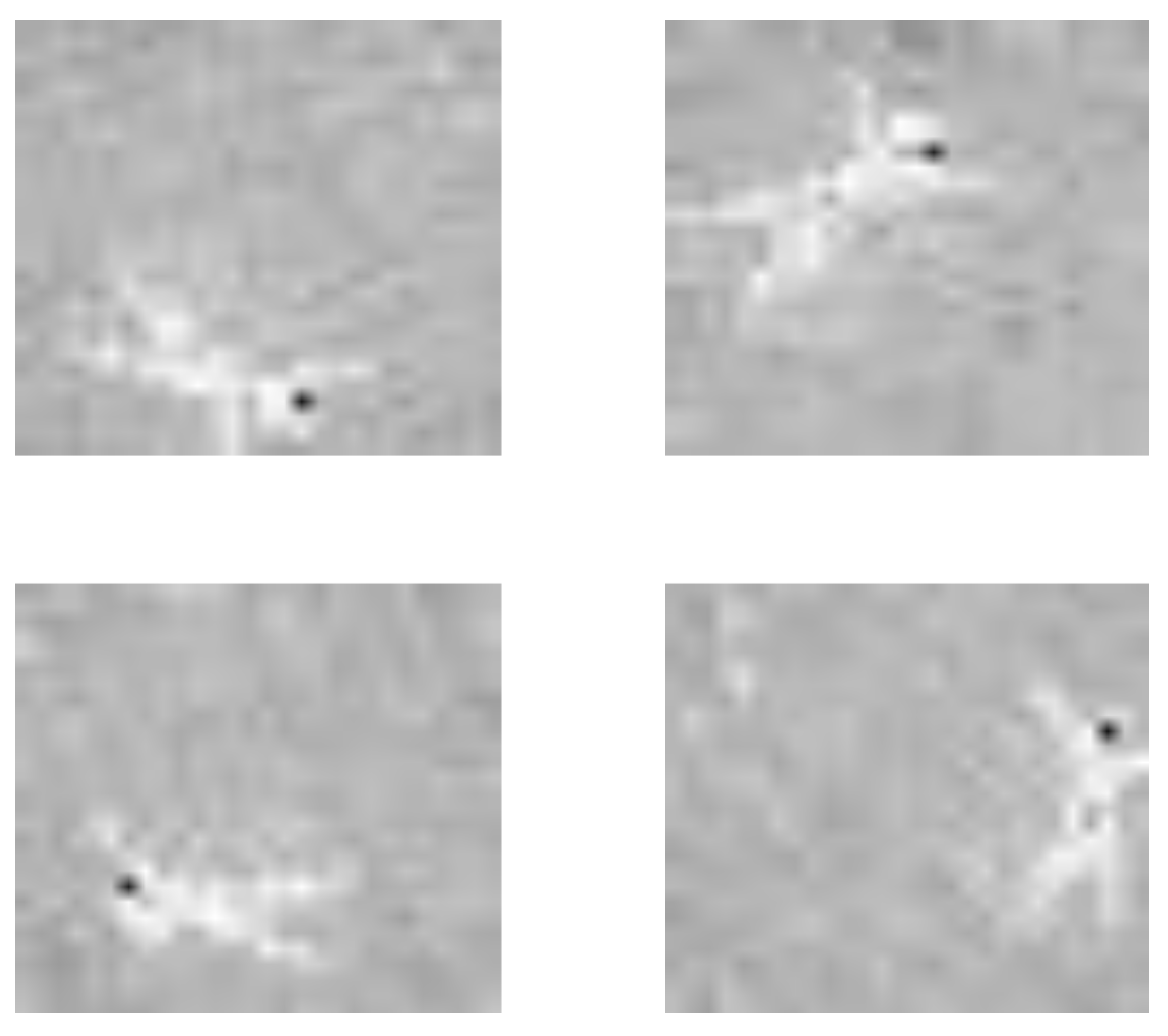 Proceedings 02 01236 g002 550