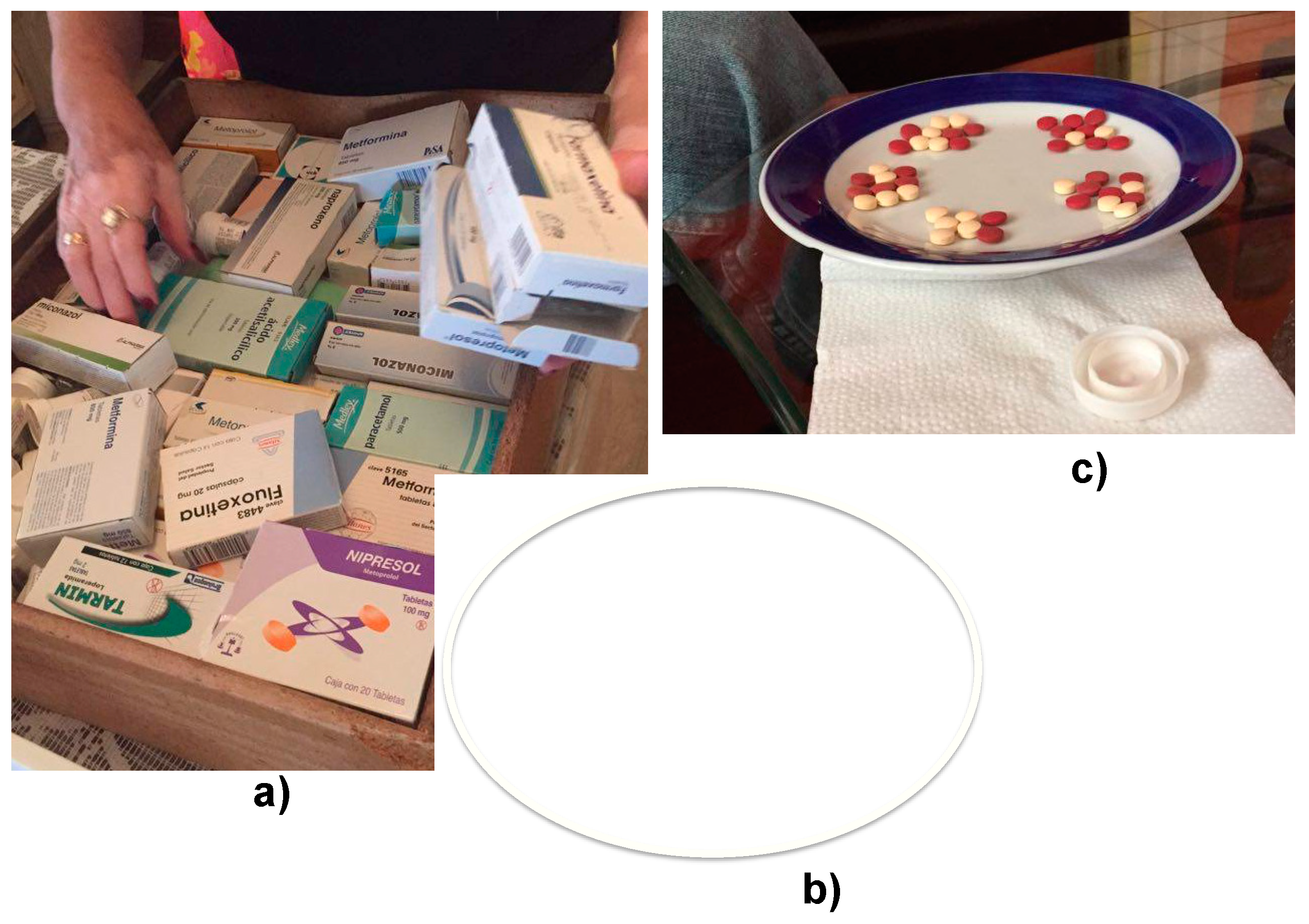 Proceedings 02 01248 g006