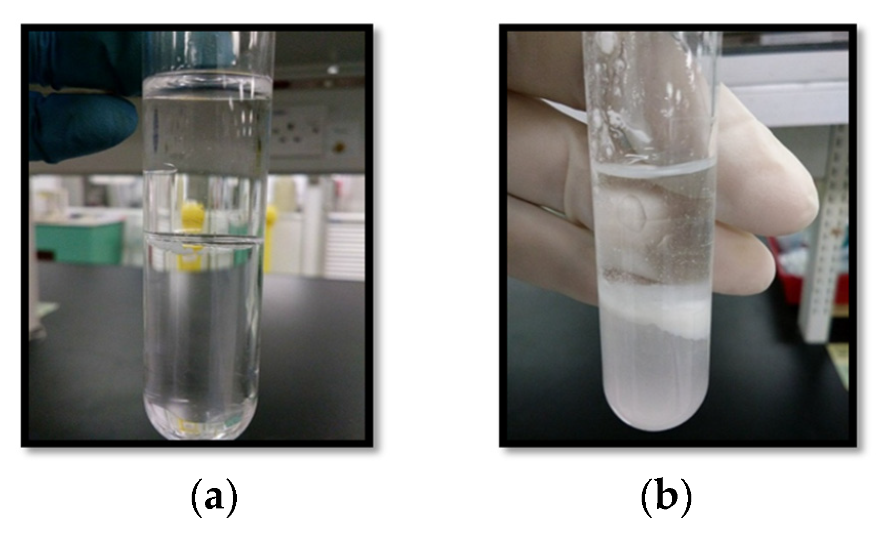 Proceedings 02 01273 g001