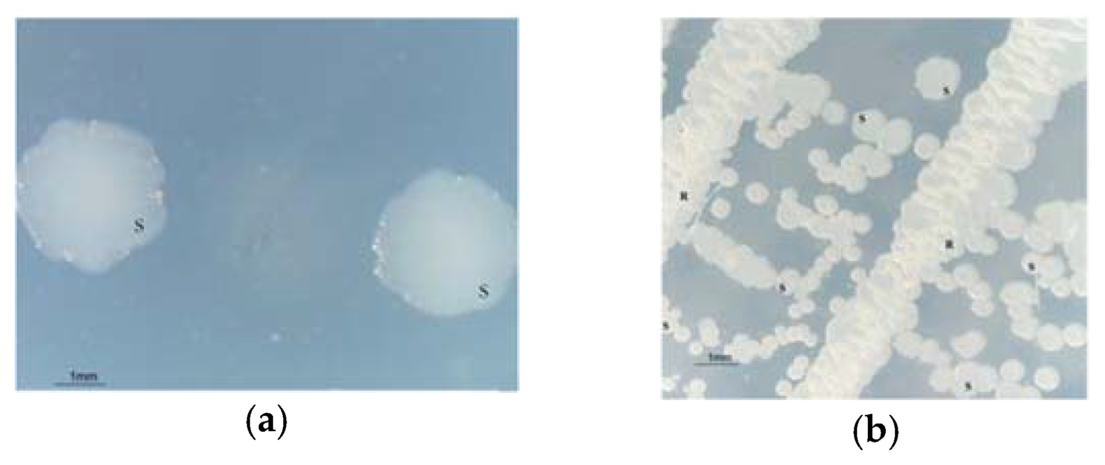 Proceedings 02 01283 g001