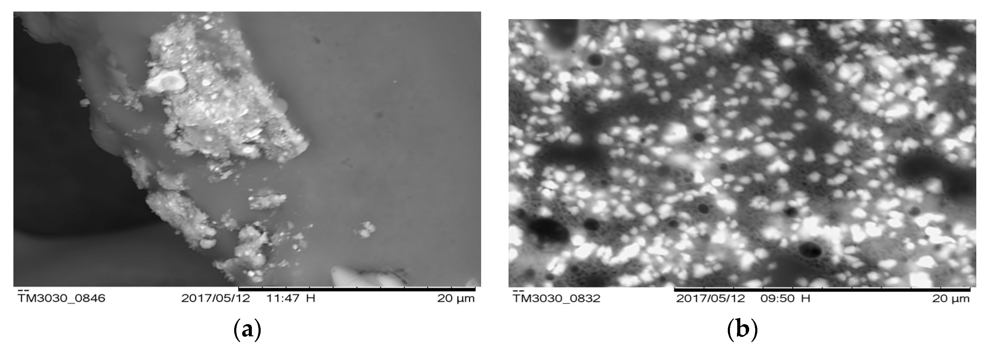 Proceedings 02 01286 g001